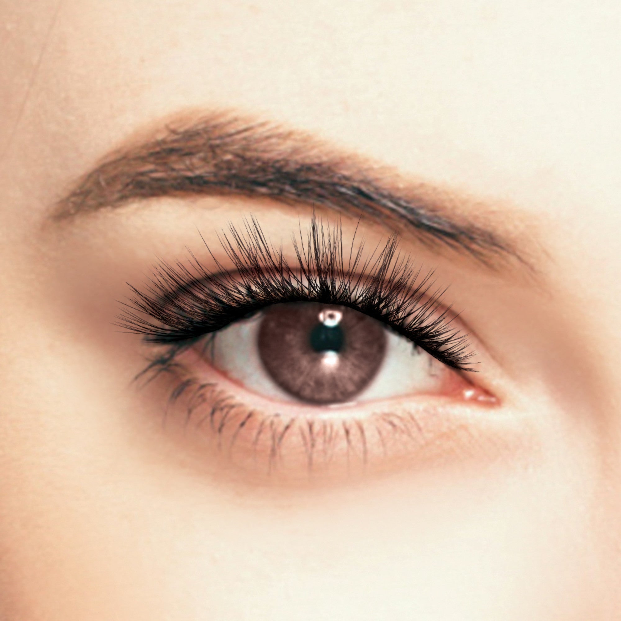 Close-up of a brown eye wearing a single false eyelash from the KISS The Power of Pink Limited Edition ‘Laugh’ pair, showing long, evenly spaced black lashes.