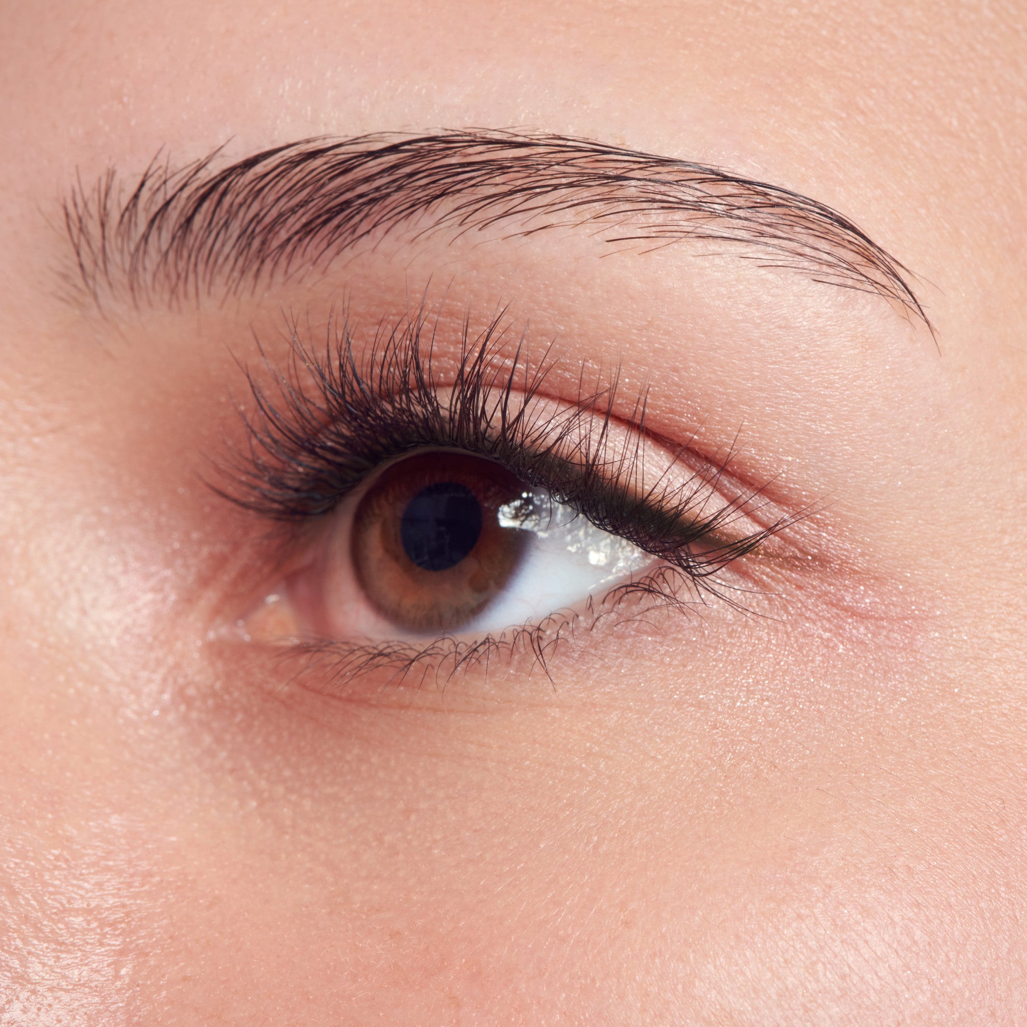 Close-up of eye with dark eyebrow, black eyeliner, and brown iris with light reflection.