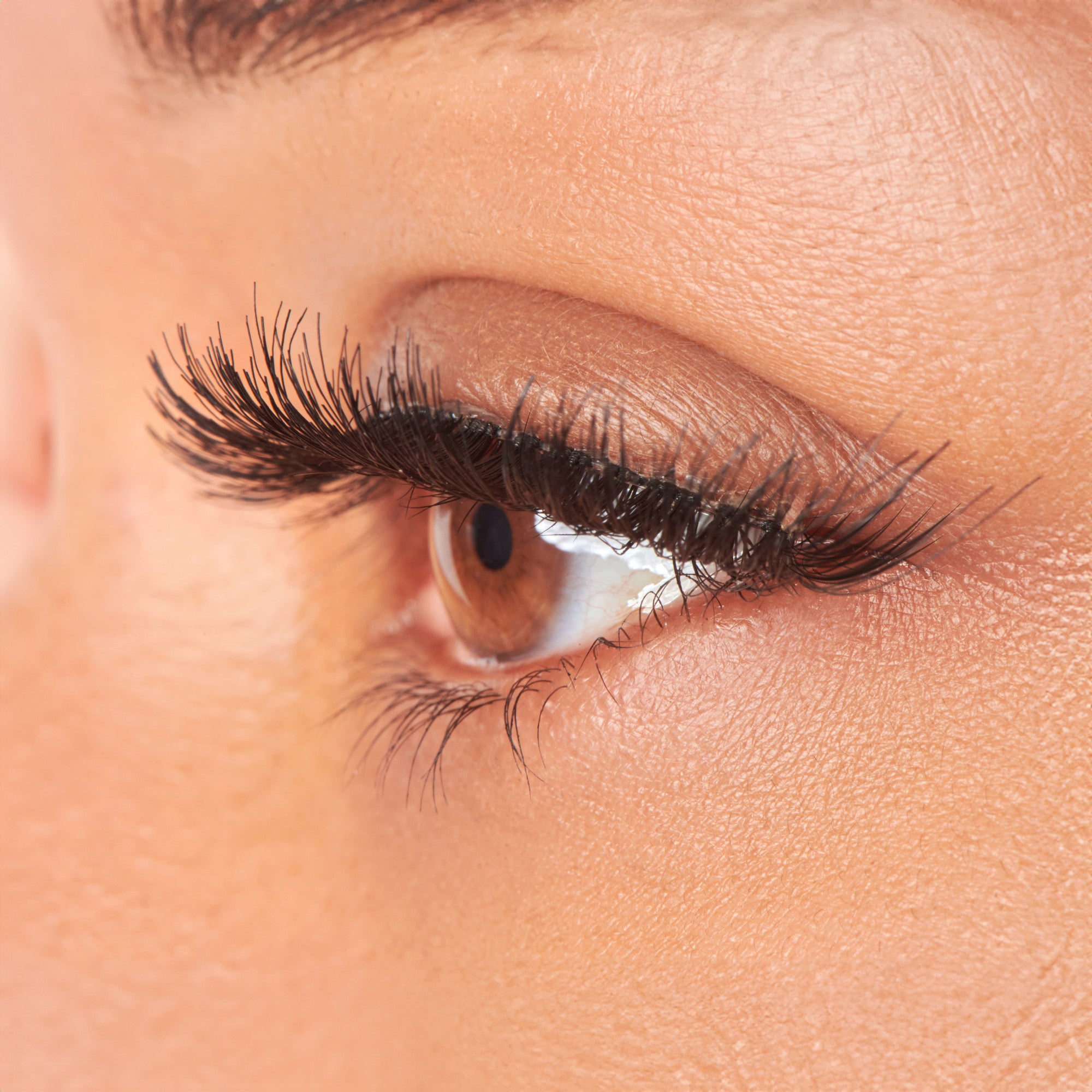 KISS So Wispy False Eyelashes Multipack - Pompadour