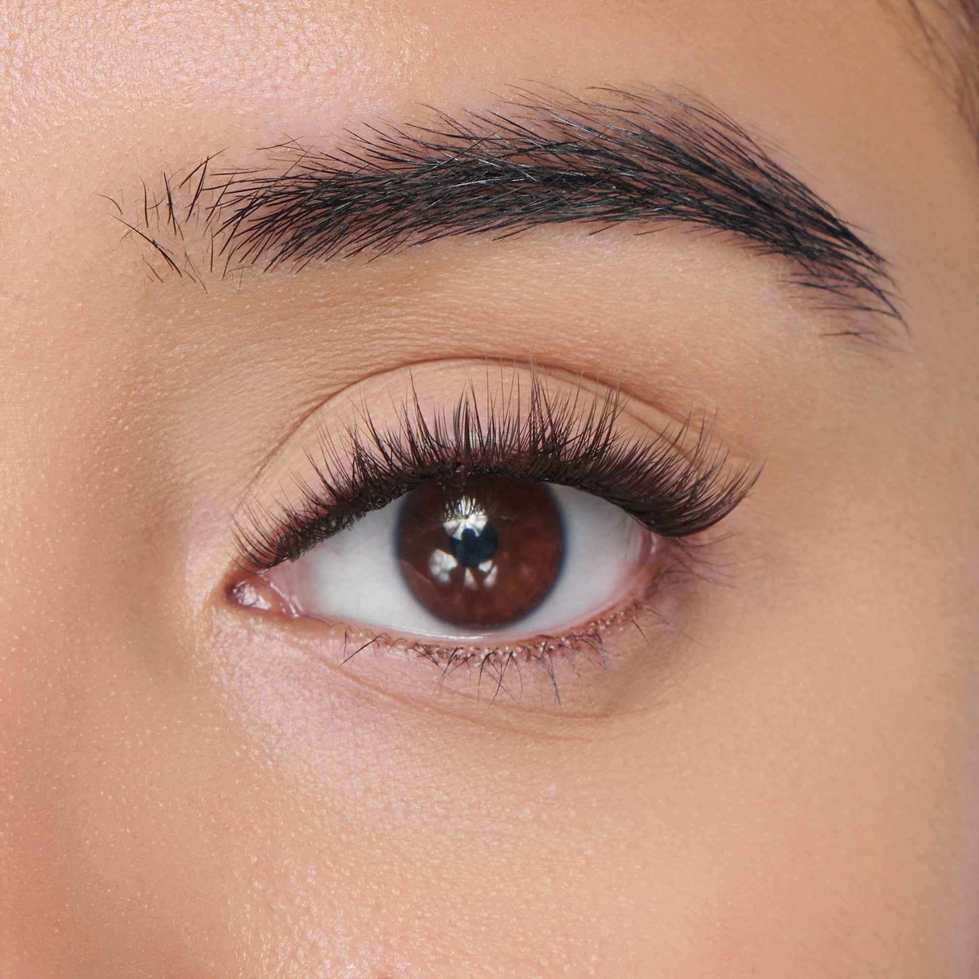 FALSCARA Faux Mink Starter Kit – 36 Wisps