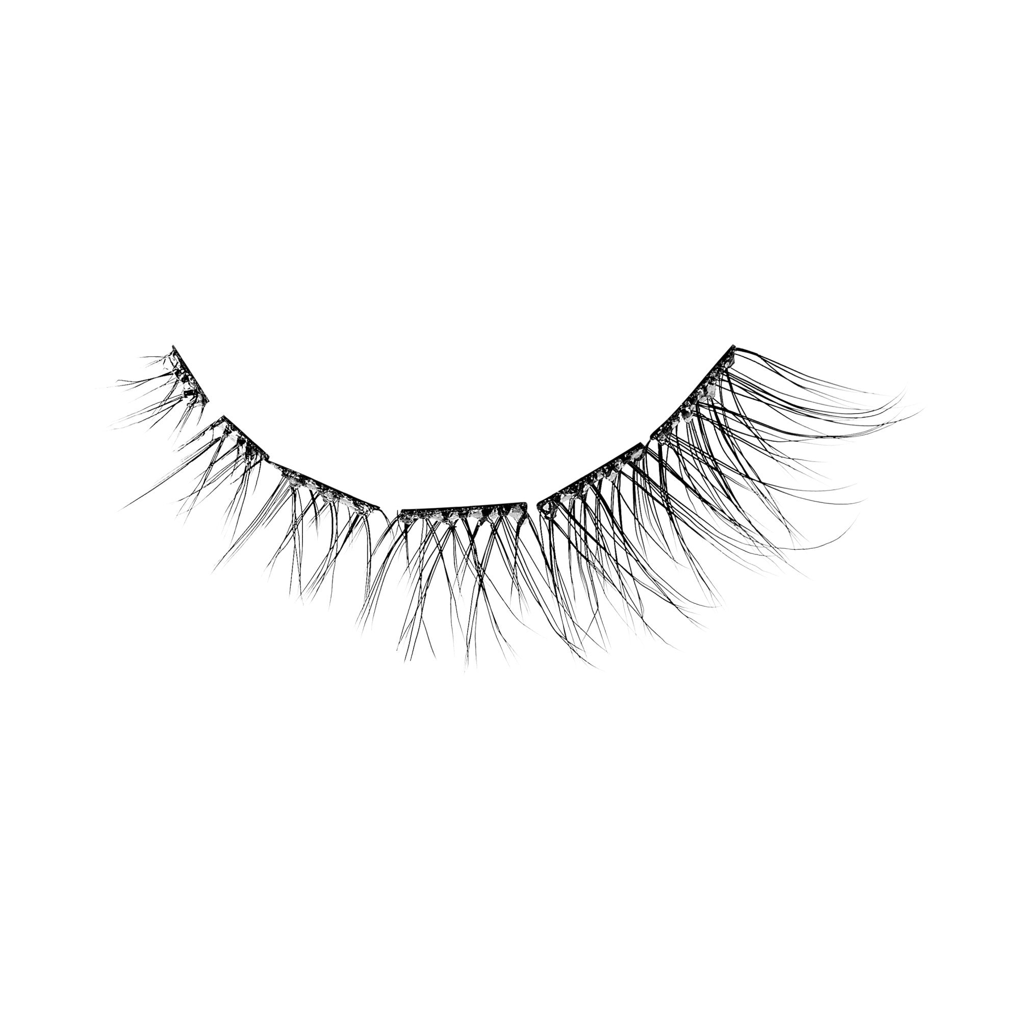 KISS Lash Case It Kit