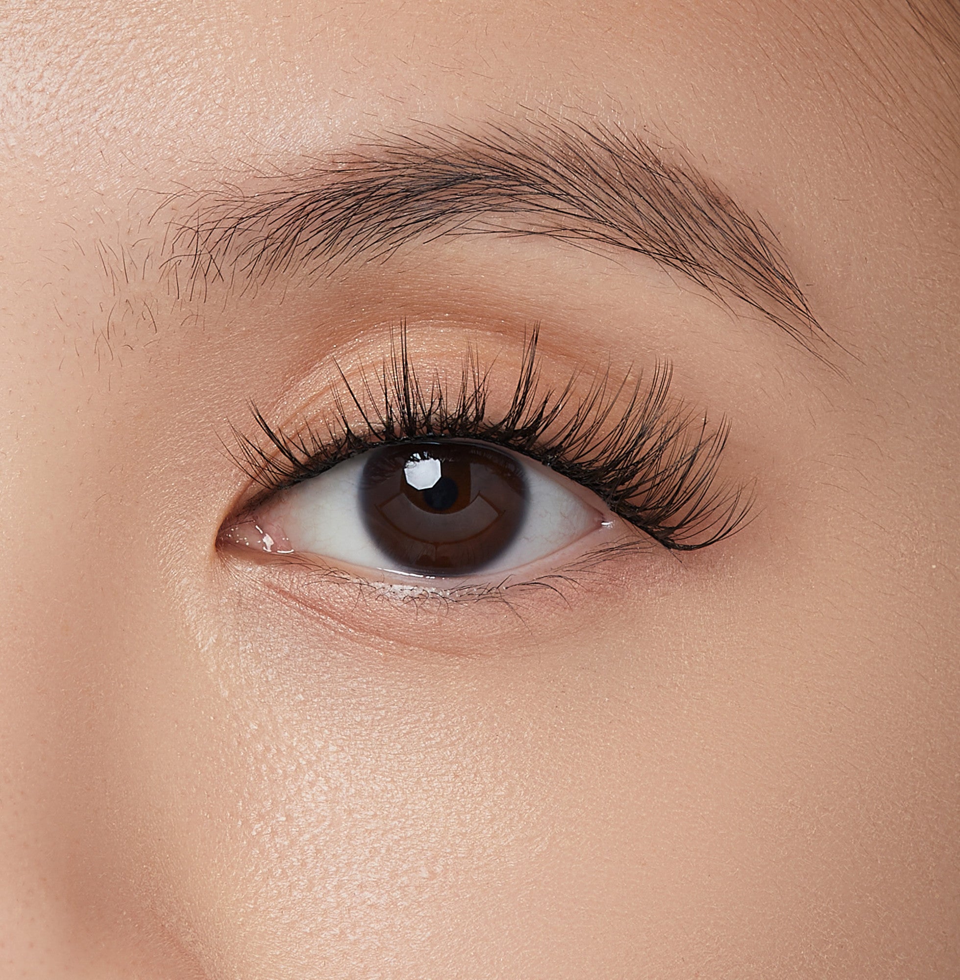 Close-up of a brown eye with long, full, natural-looking false eyelashes applied, highlighting the modern style of imPRESS Falsies self-adhesive lash clusters.