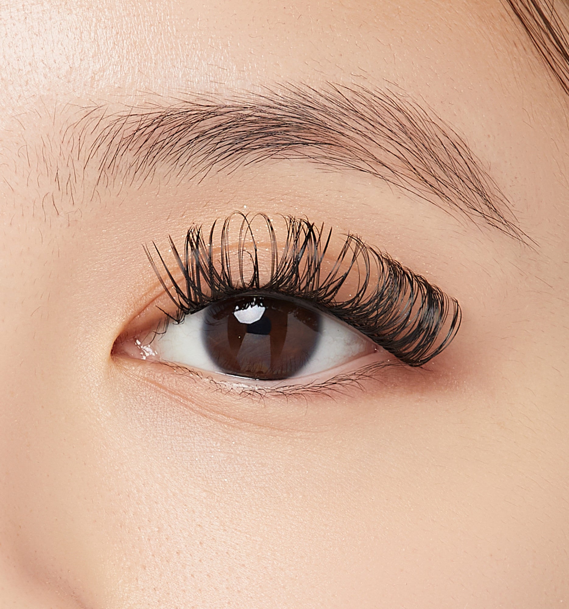 Close-up of a brown eye wearing long, black L curl false eyelash wisps that create a voluminous, fluttery effect on the upper lash line.