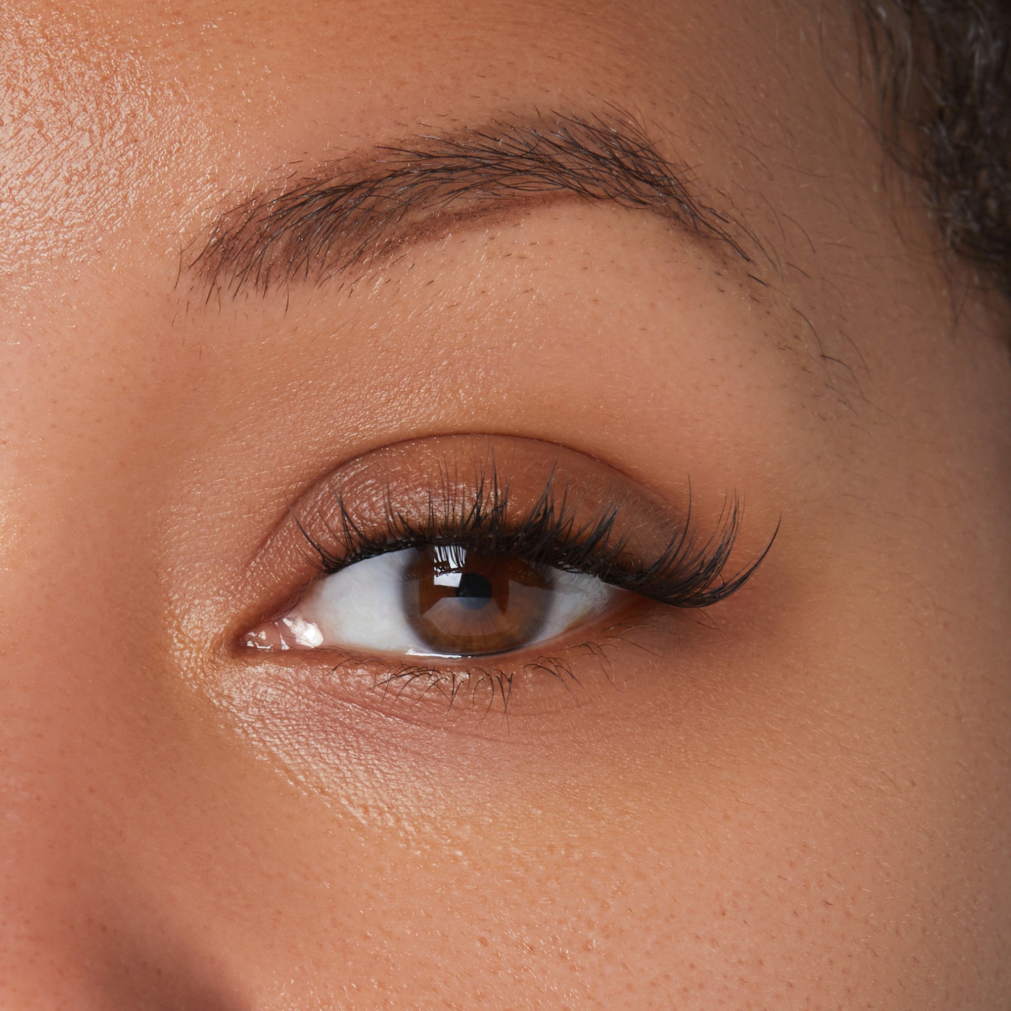 FALSCARA Special All Inclusive Starter Kit - 36 Lengthening Wisps