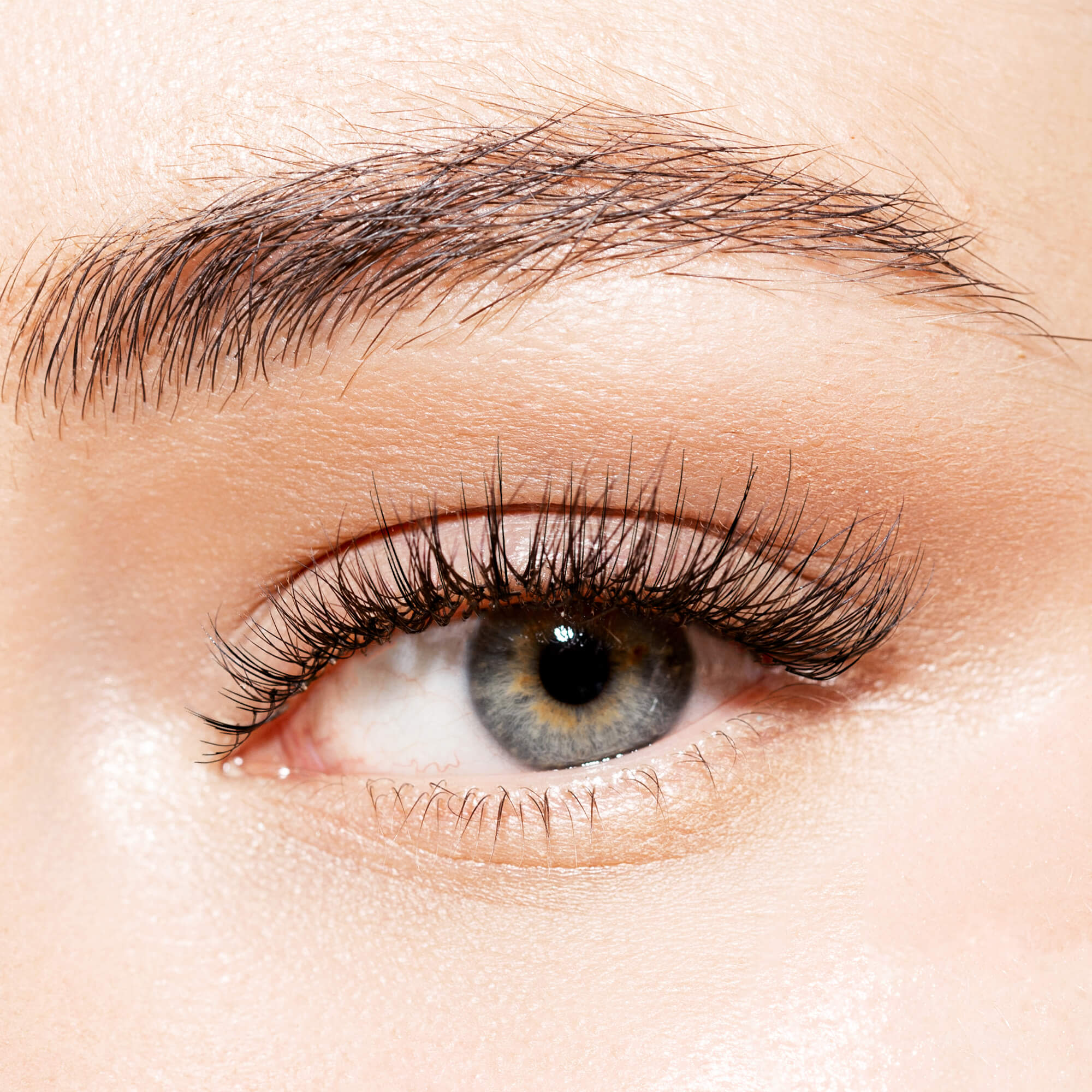 Close-up of a blue-gray eye with long, dark, natural-looking false eyelashes and well-groomed brown eyebrows.