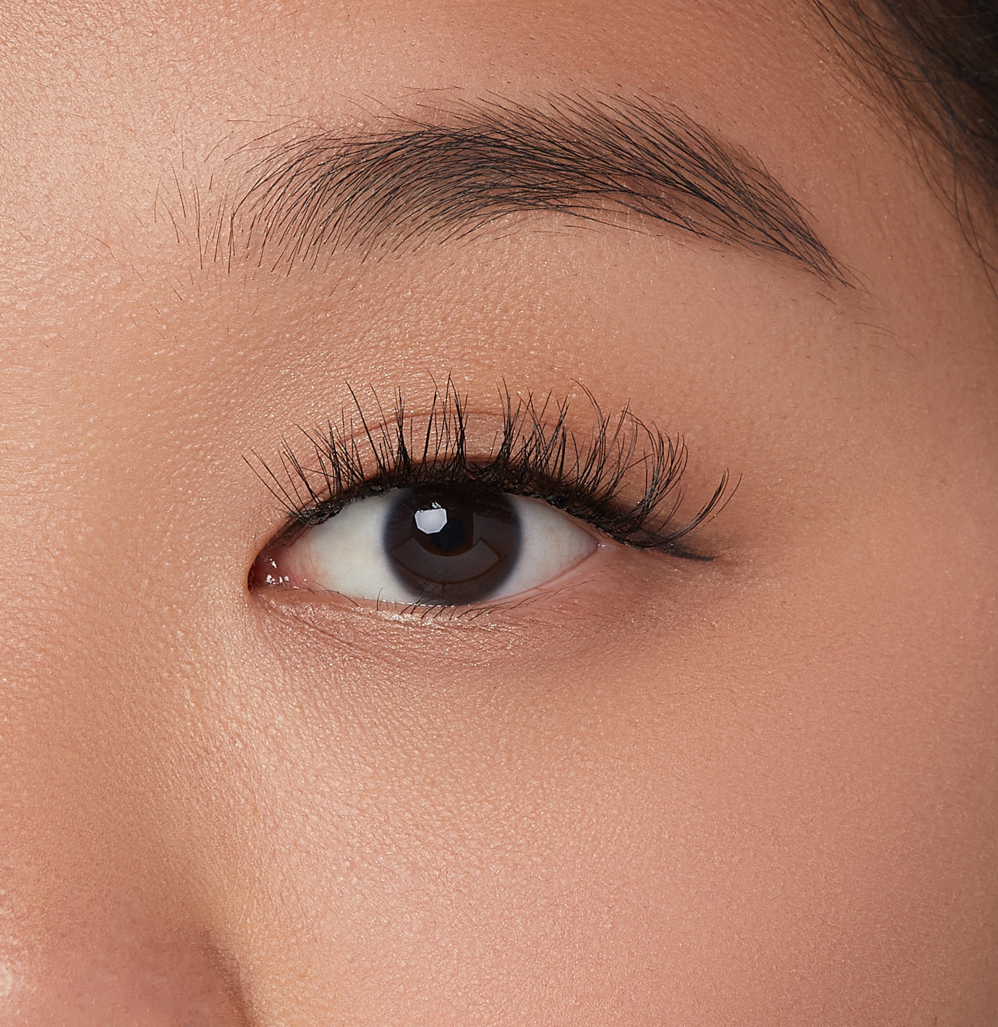 Close-up of a brown eye with long, voluminous false eyelashes applied, showing natural skin texture and well-groomed eyebrow.