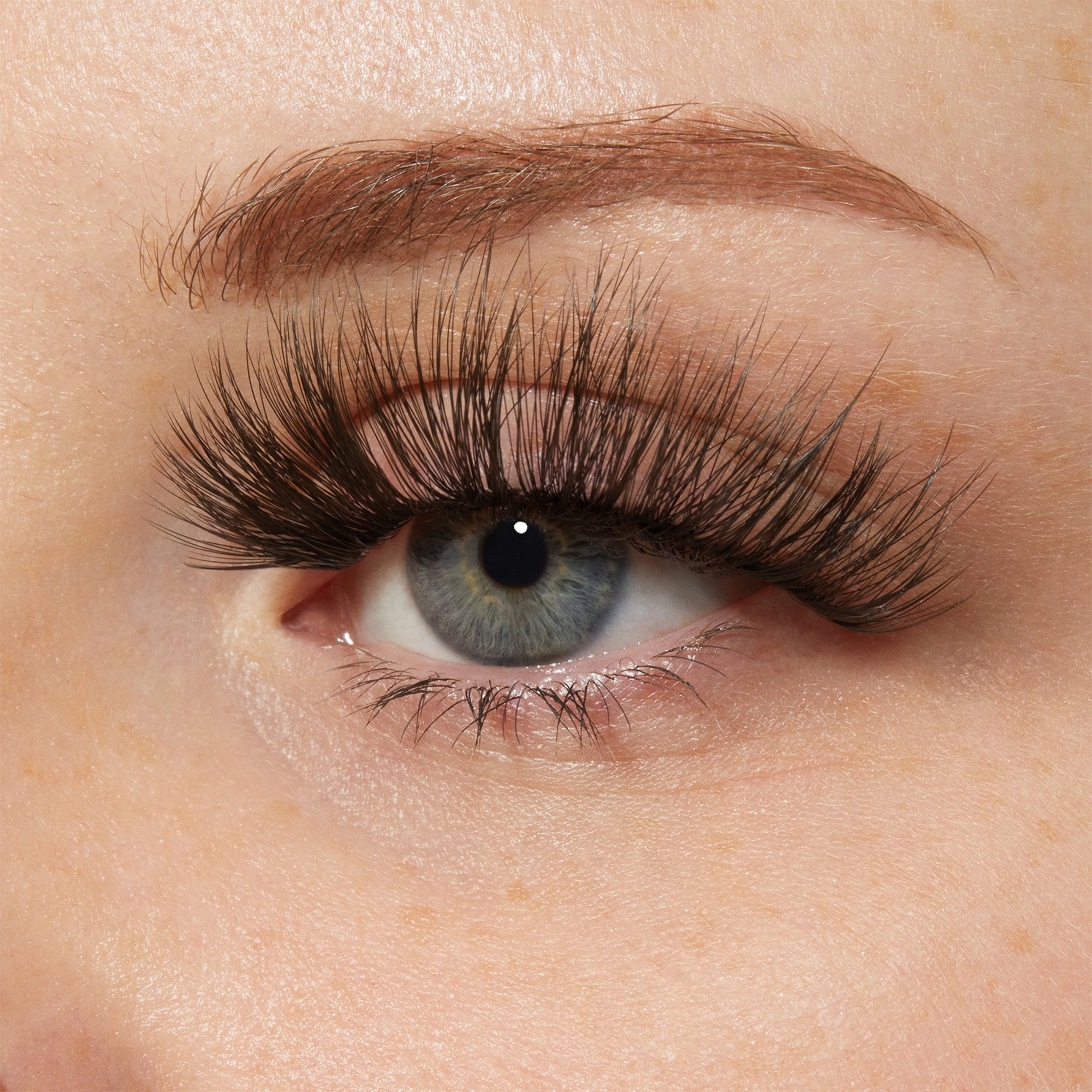 Close-up of a blue eye wearing long, thick, dark 3D volume false eyelashes with a natural skin tone and well-groomed eyebrow.