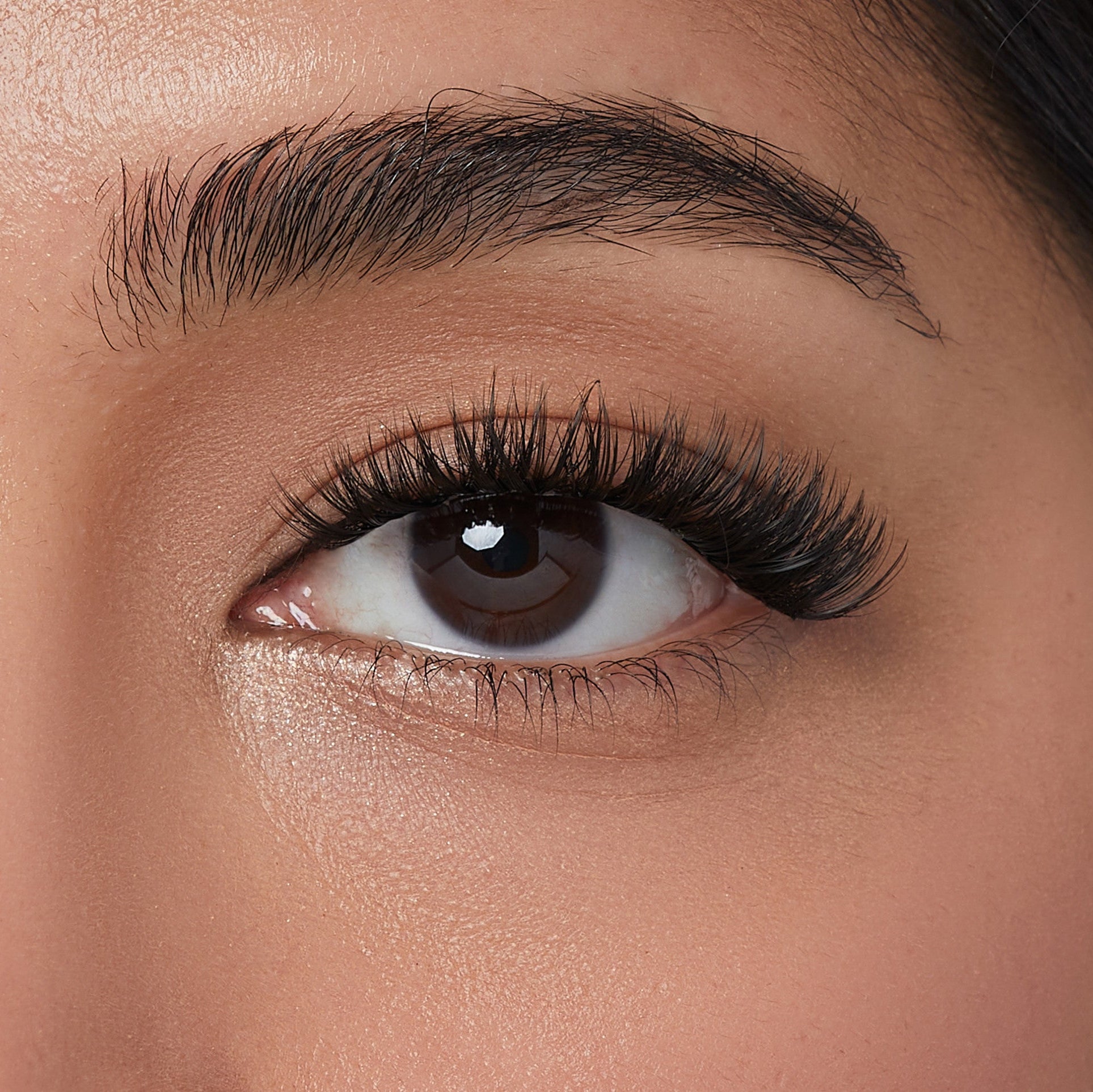 Close-up of a brown eye wearing thick, curved false eyelashes with a natural black color and refined, voluminous appearance.