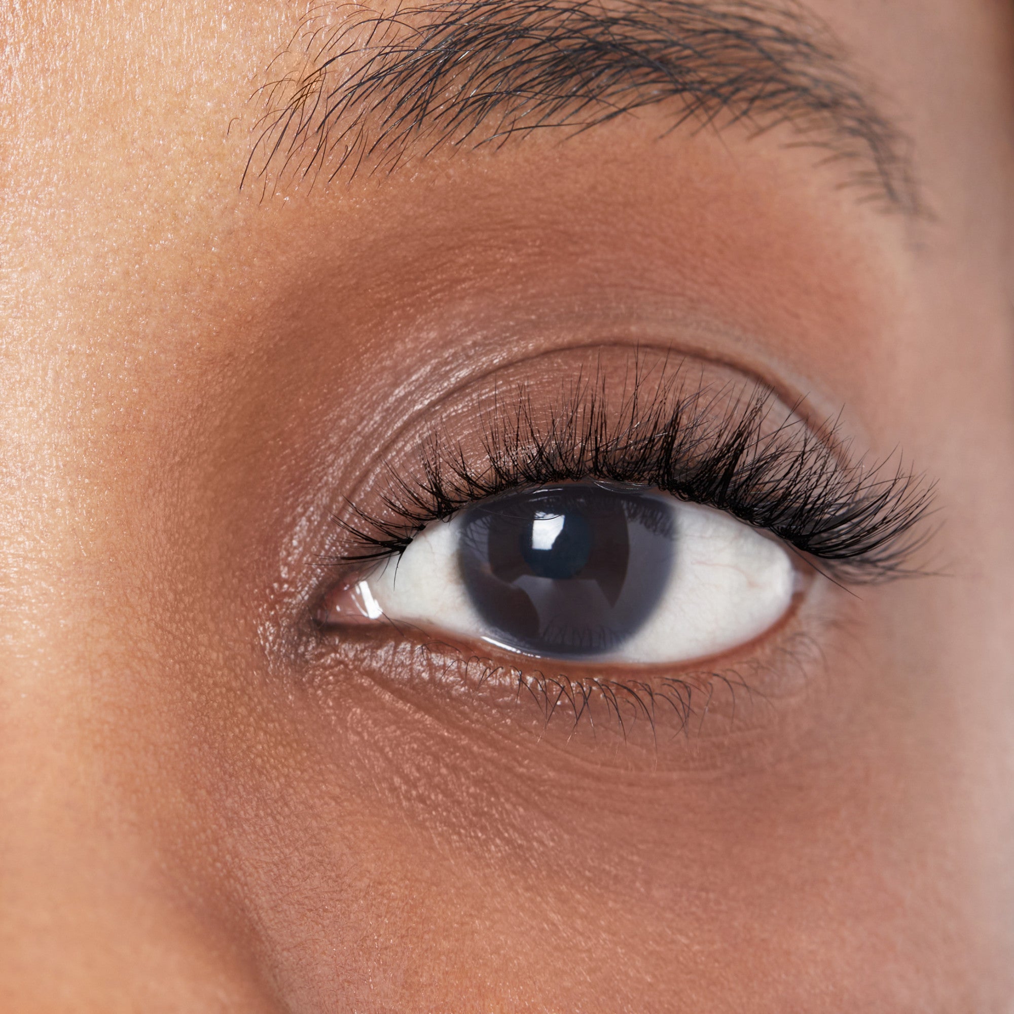 Close-up view of a brown eye with long, natural-looking black false eyelashes applied, enhancing the lash volume and length against smooth skin.