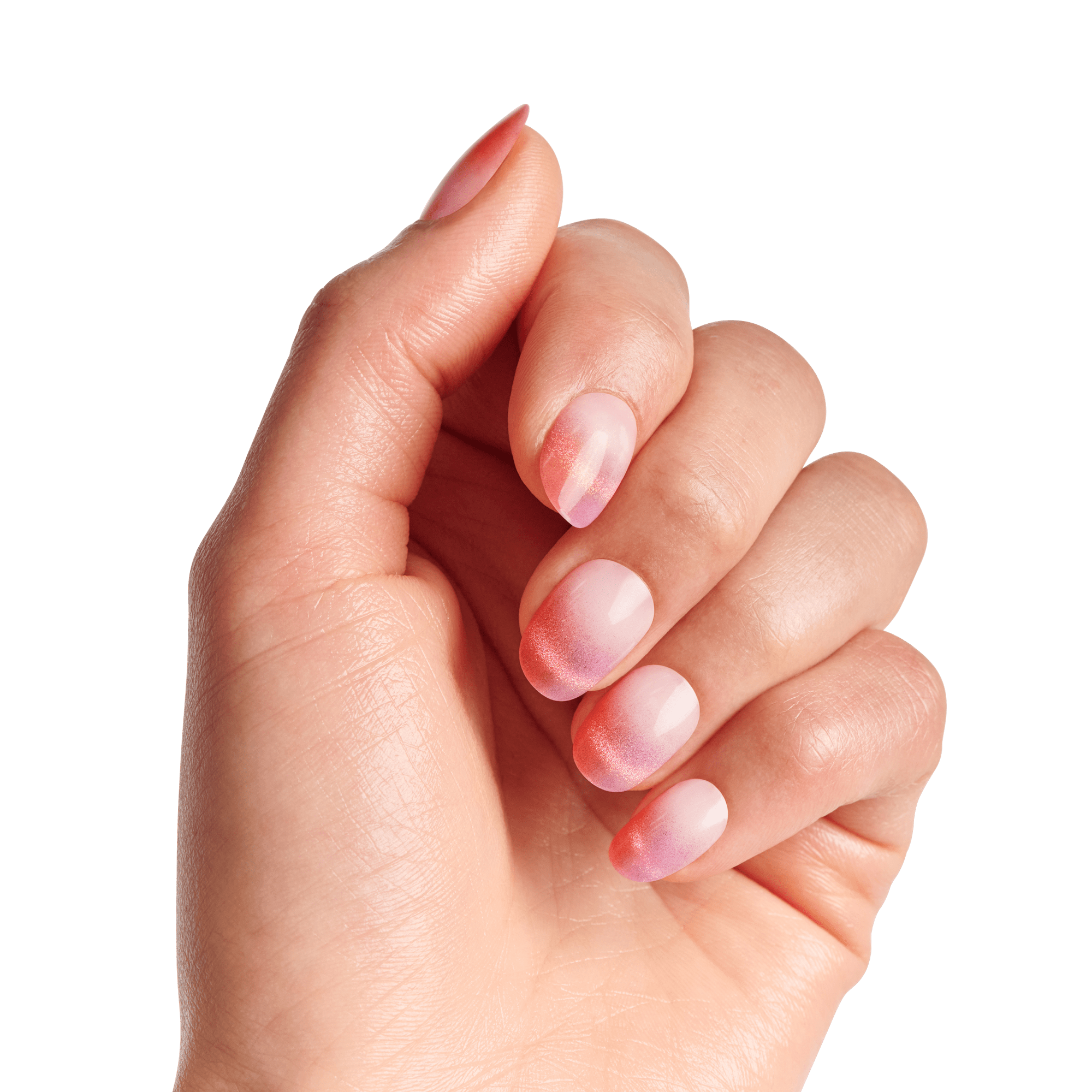 WICKED X KISS Signature Collection Bundle