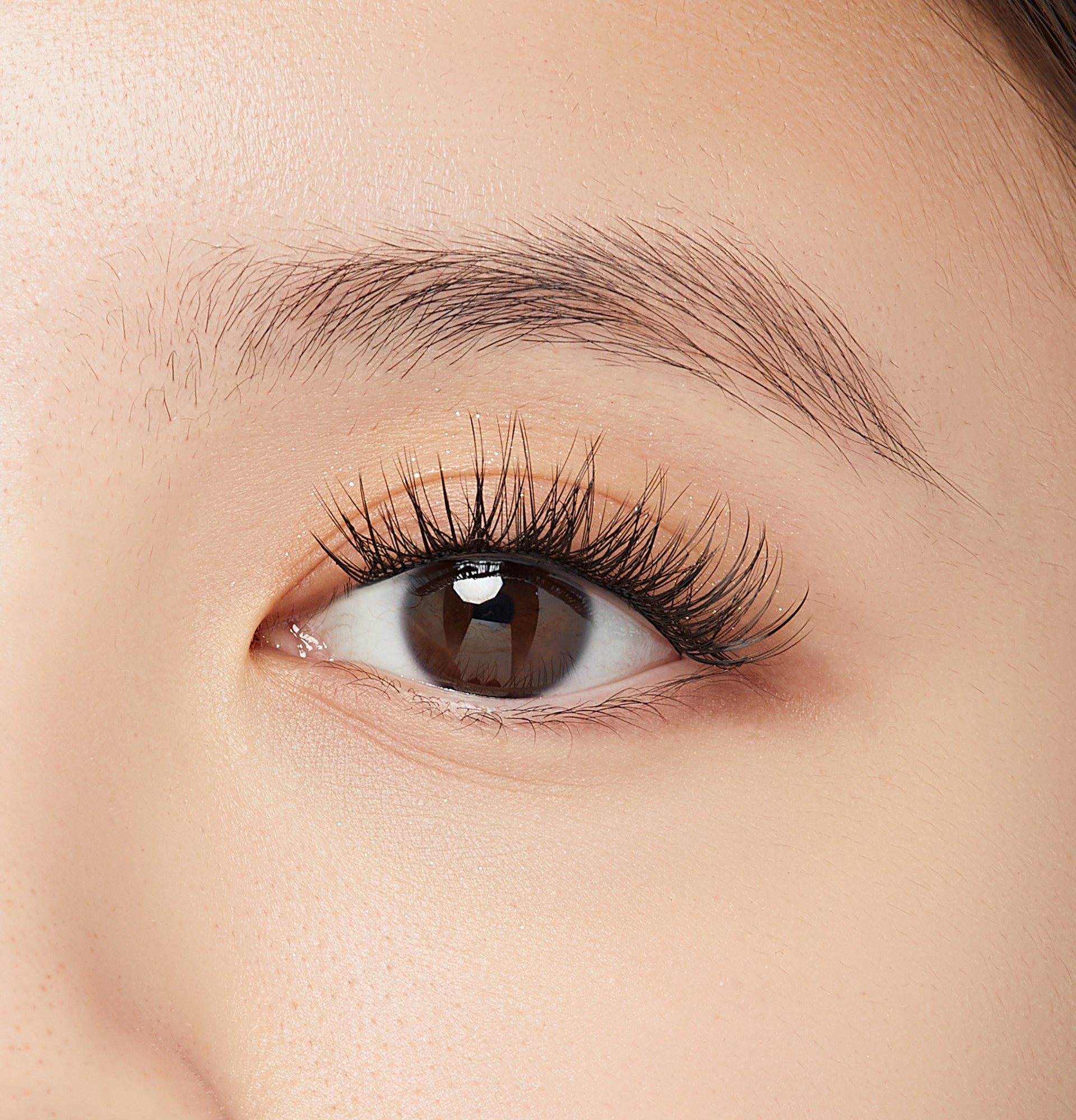 Close-up of a brown eye with long, curled D curl false eyelashes applied on the upper lash line, showing natural skin texture and no additional makeup.