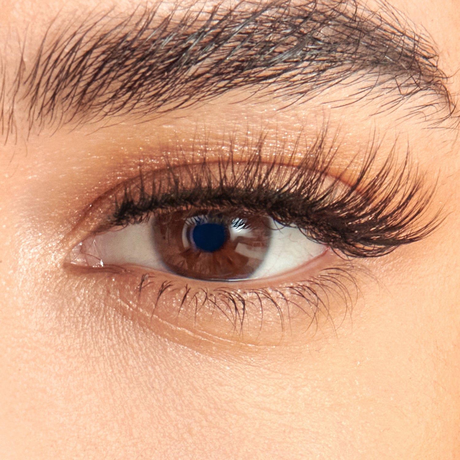 KISS Lash Couture The Muses Holiday Lashes – Legacy