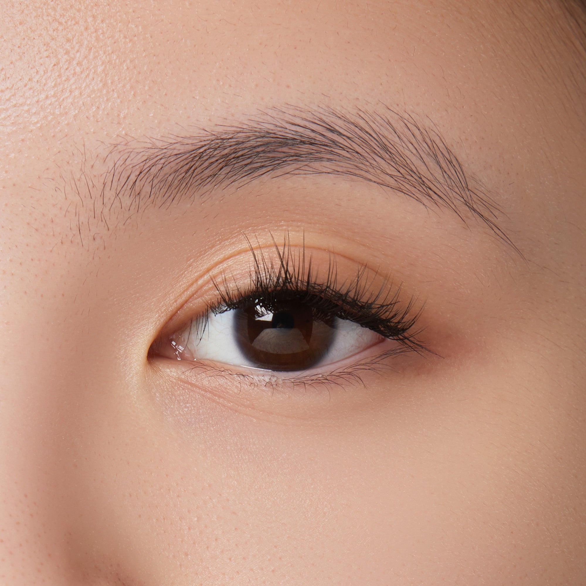 Close-up of a brown eye with long, voluminous false eyelashes applied, showcasing the natural look of the KISS Lash Trial Kit lashes.