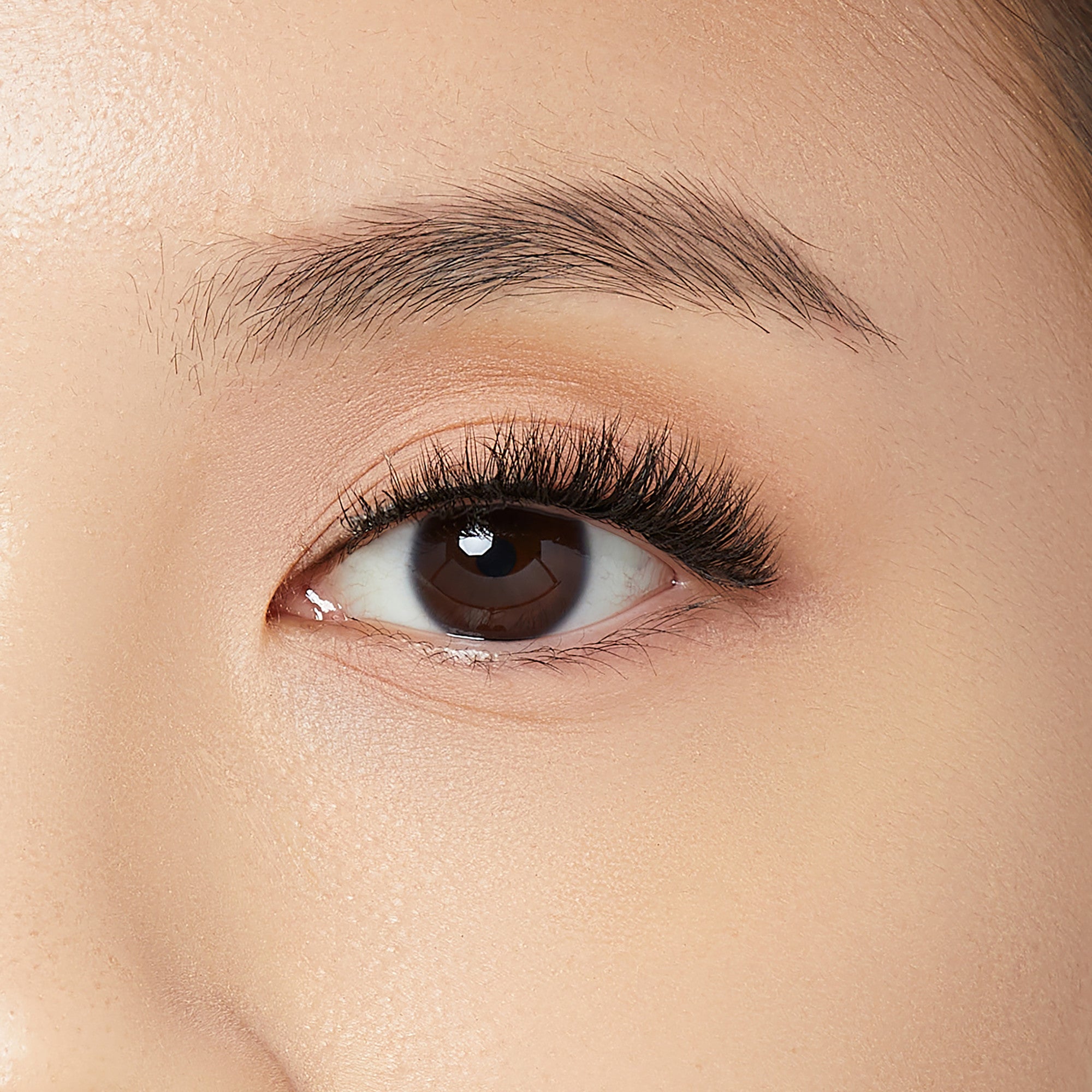 Close-up of a brown eye with long, thick, and curled vegan mink false eyelashes applied, showing natural skin tone and a well-groomed eyebrow.