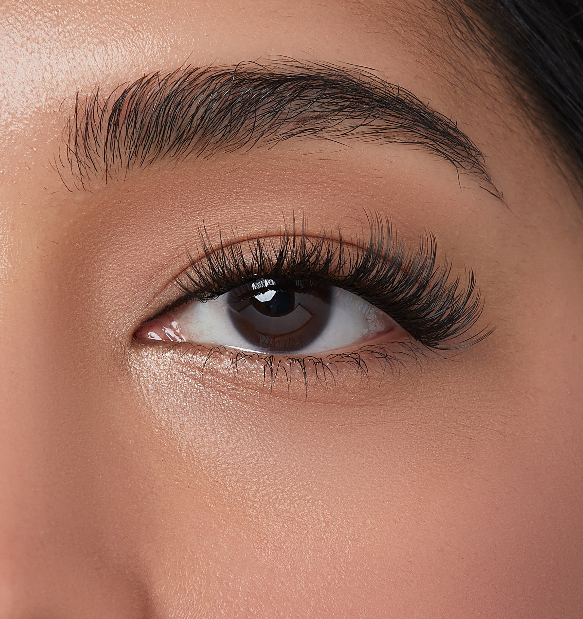 Close-up of a brown eye with lush, long, curled false eyelashes enhancing the upper lash line against smooth skin.