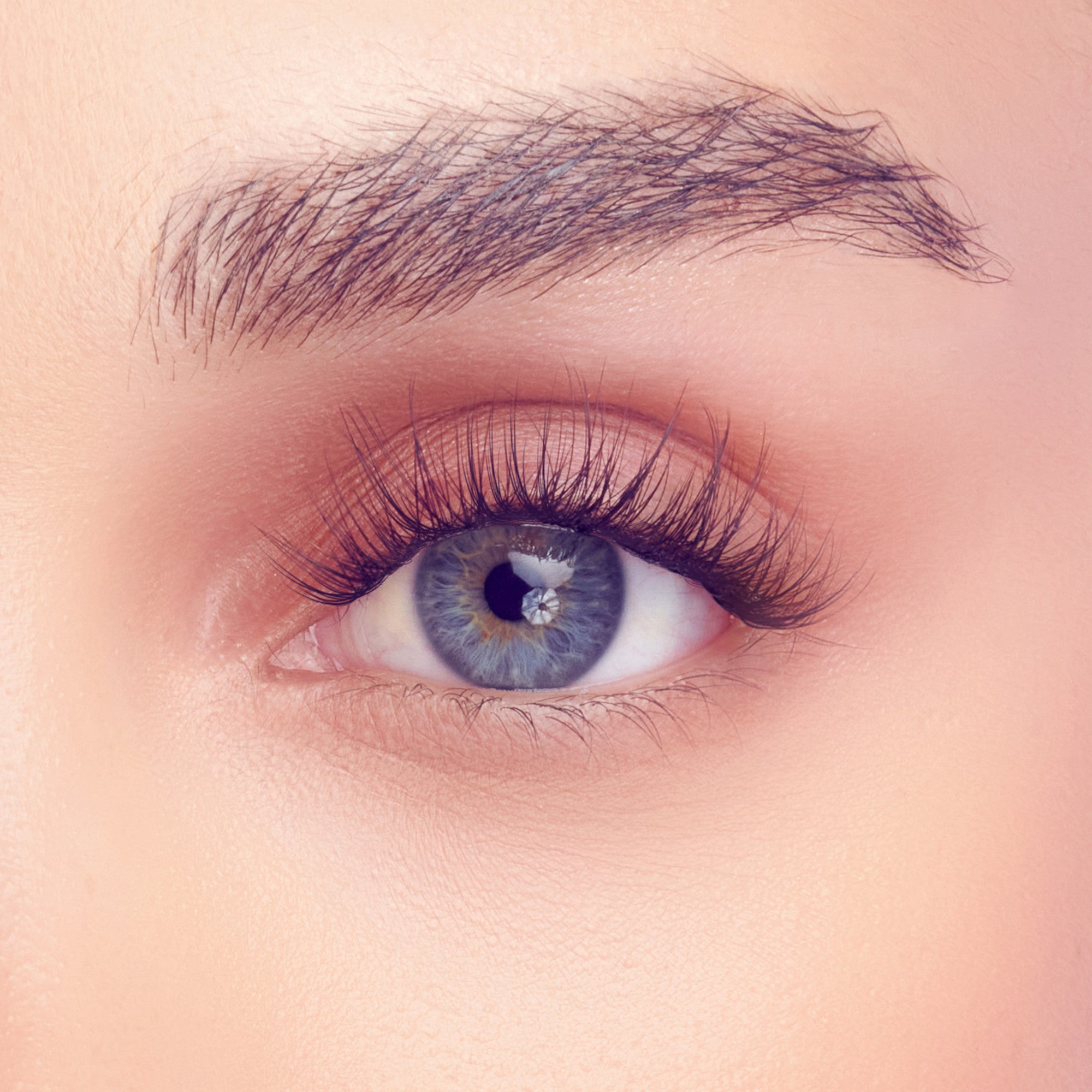 Close-up of a blue eye with long, delicate lash extensions and natural-looking eyebrows on fair skin, highlighting detailed lash enhancement.