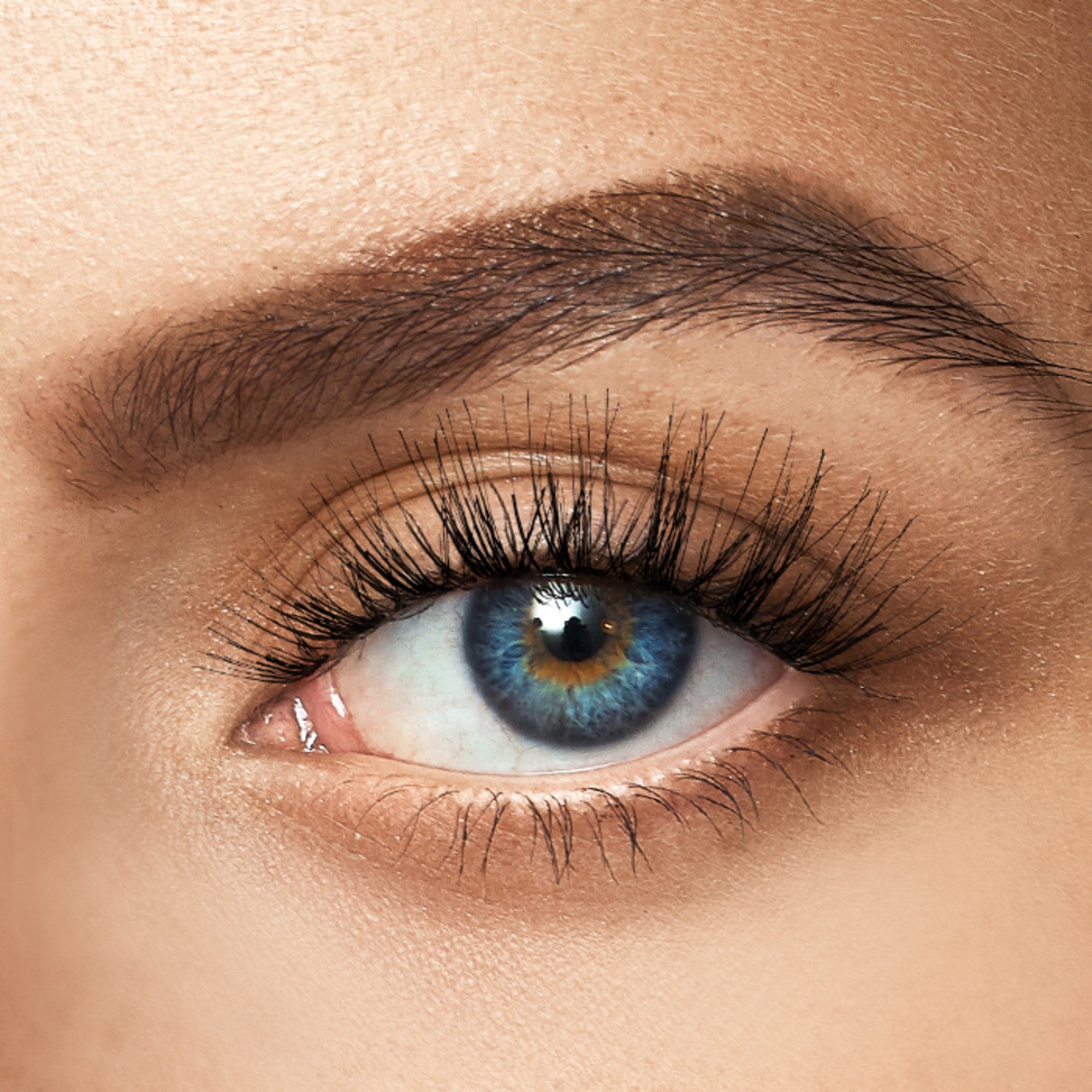 Close-up of a blue eye with long, thick black false eyelashes applied, showcasing the dramatic and mysterious look of the KISS Halloween Lashes & Gem Sticker product.