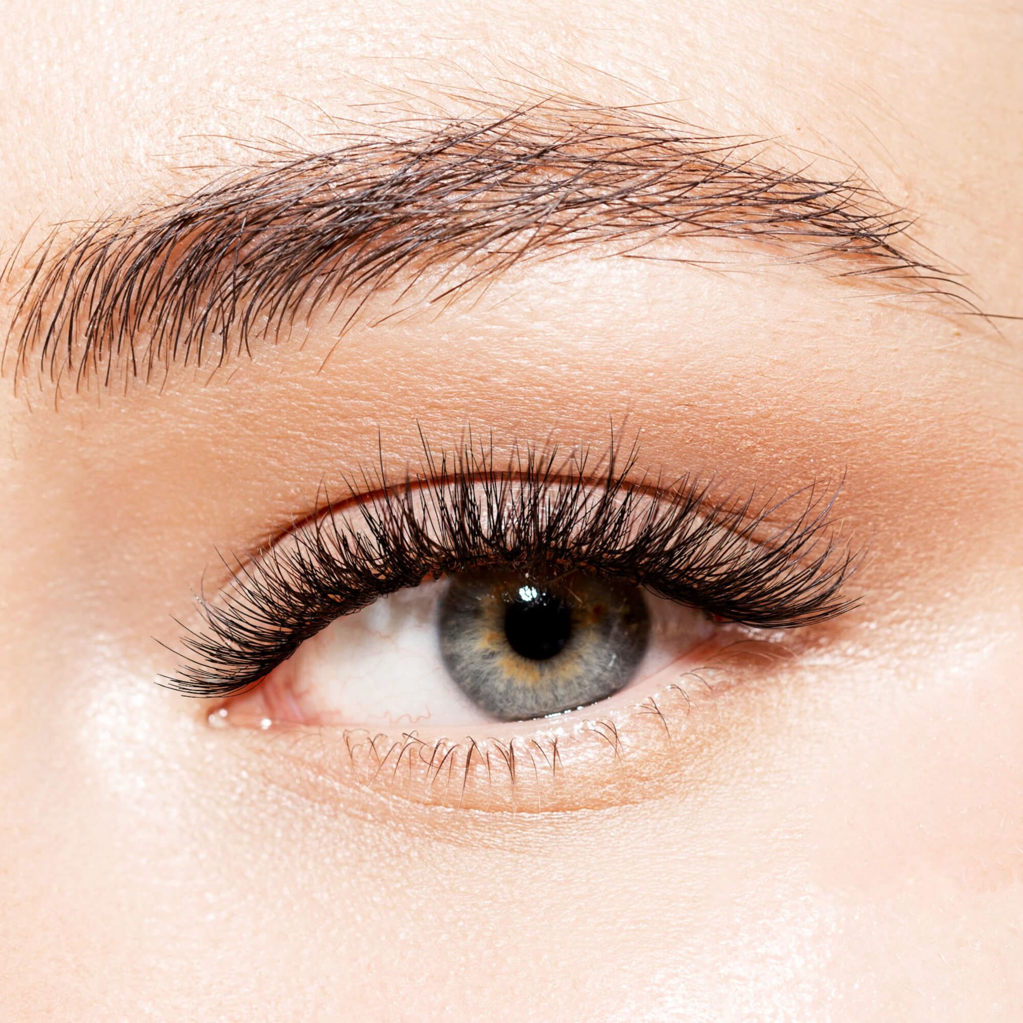Close-up of a blue-gray eye wearing long, full, black false eyelashes with a natural, flirty style, showing well-groomed dark brown brows and soft neutral eyeshadow.