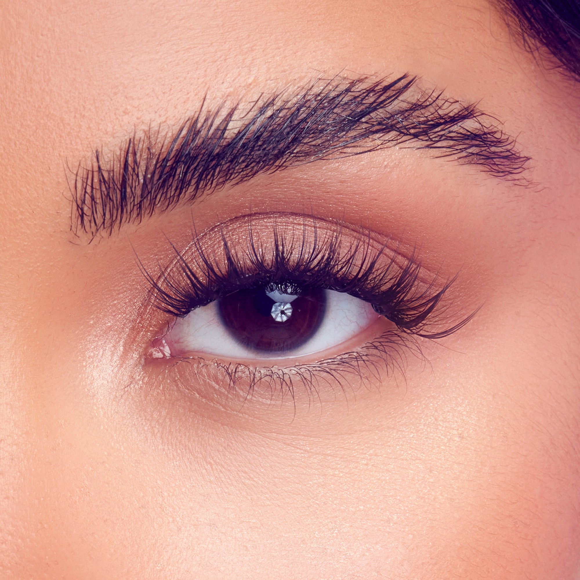 Close-up of a brown eye with long, spiky, natural-looking false lashes and well-groomed dark eyebrows on smooth skin.