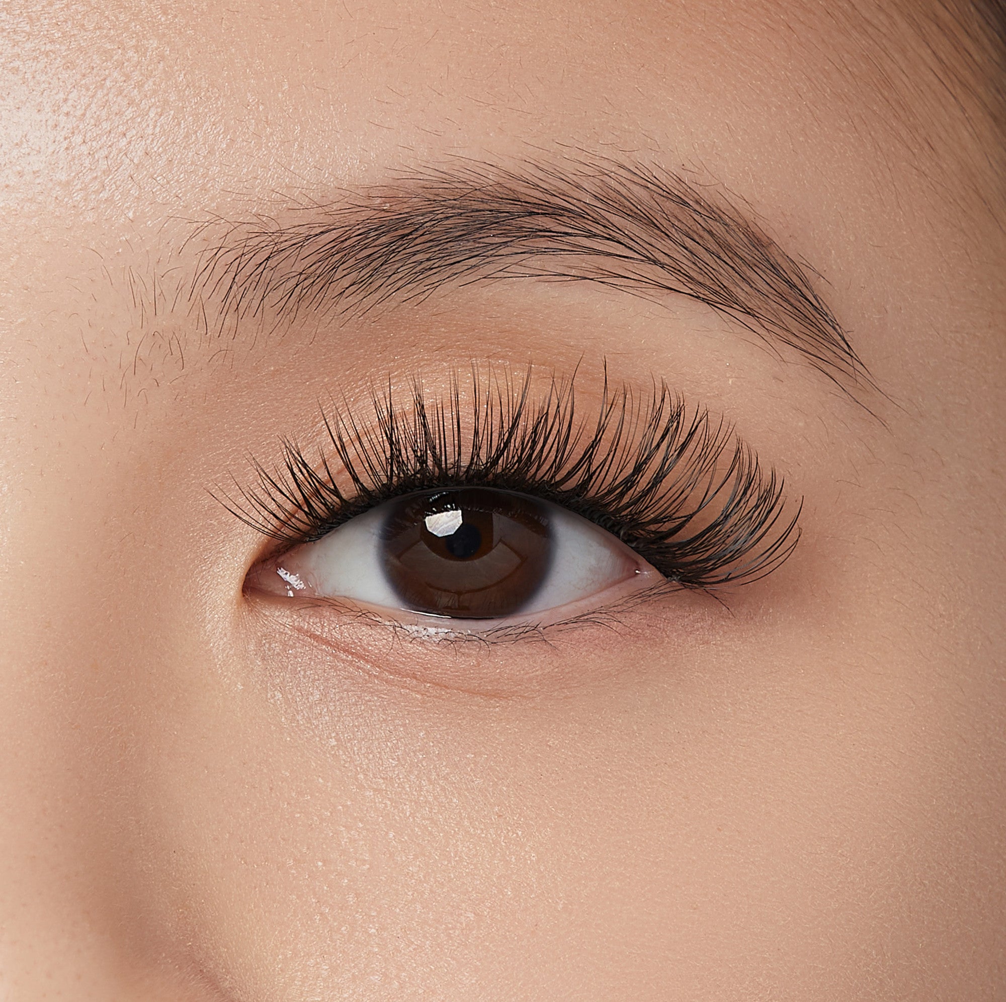 Close-up of a brown eye with long, voluminous, sleek black false lash clusters enhancing the upper lash line, showing natural skin texture.