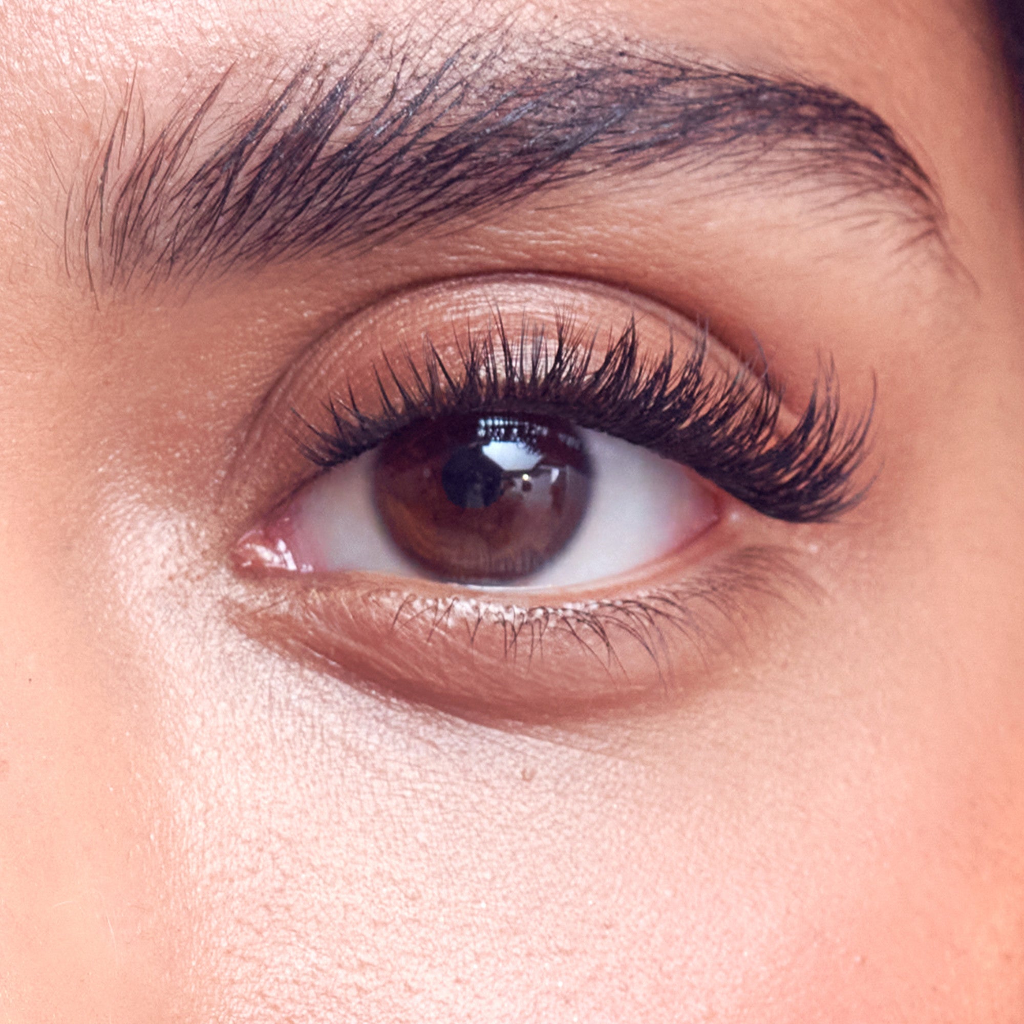 FALSCARA Studio Mini On-The-Go Kit – Classic Volume - 36 Wisps