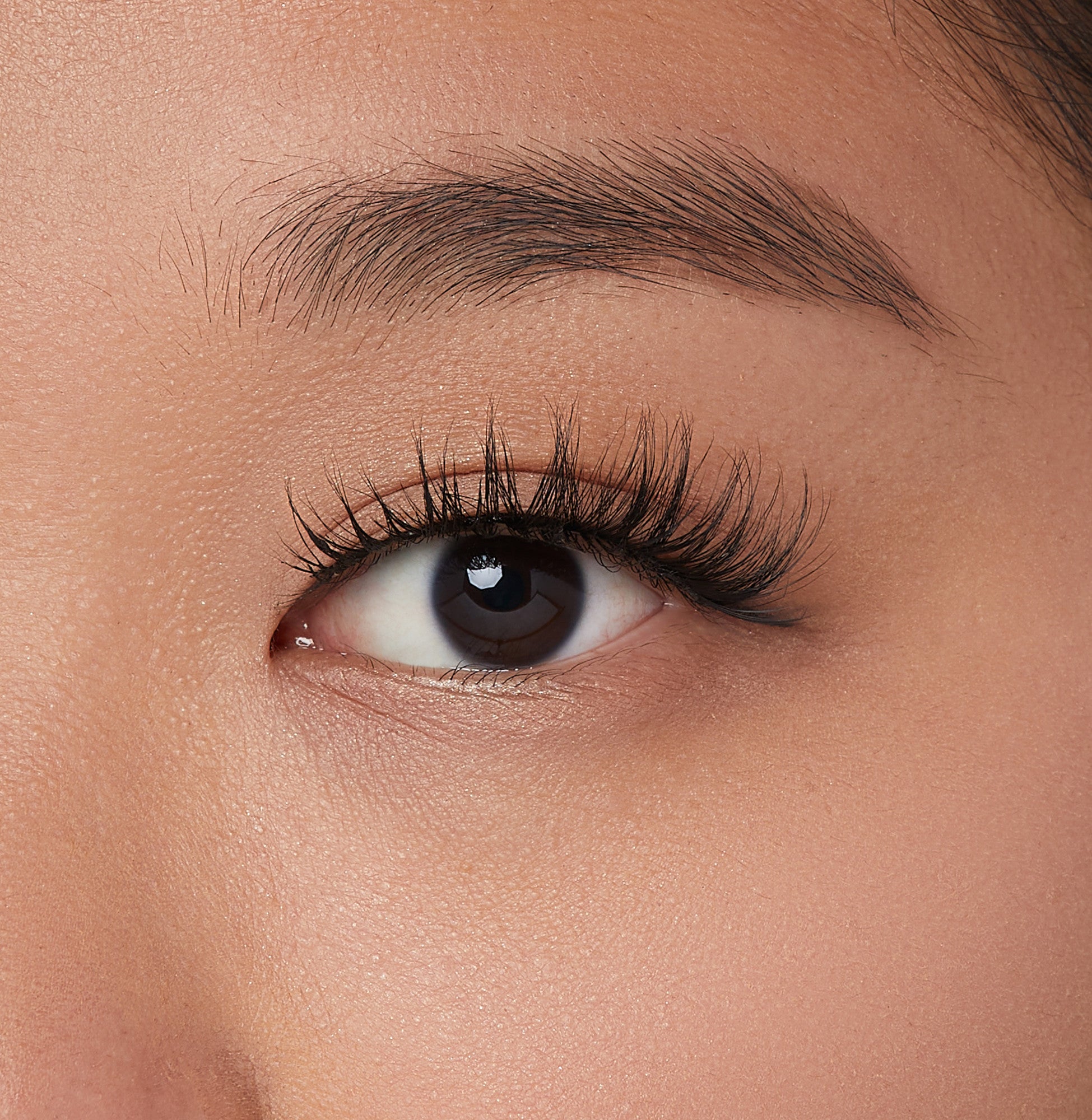 Close-up of a brown eye with long, voluminous black false eyelashes applied, showcasing the natural yet dramatic effect of the KISS Lash Couture Rebel Collection main character style.