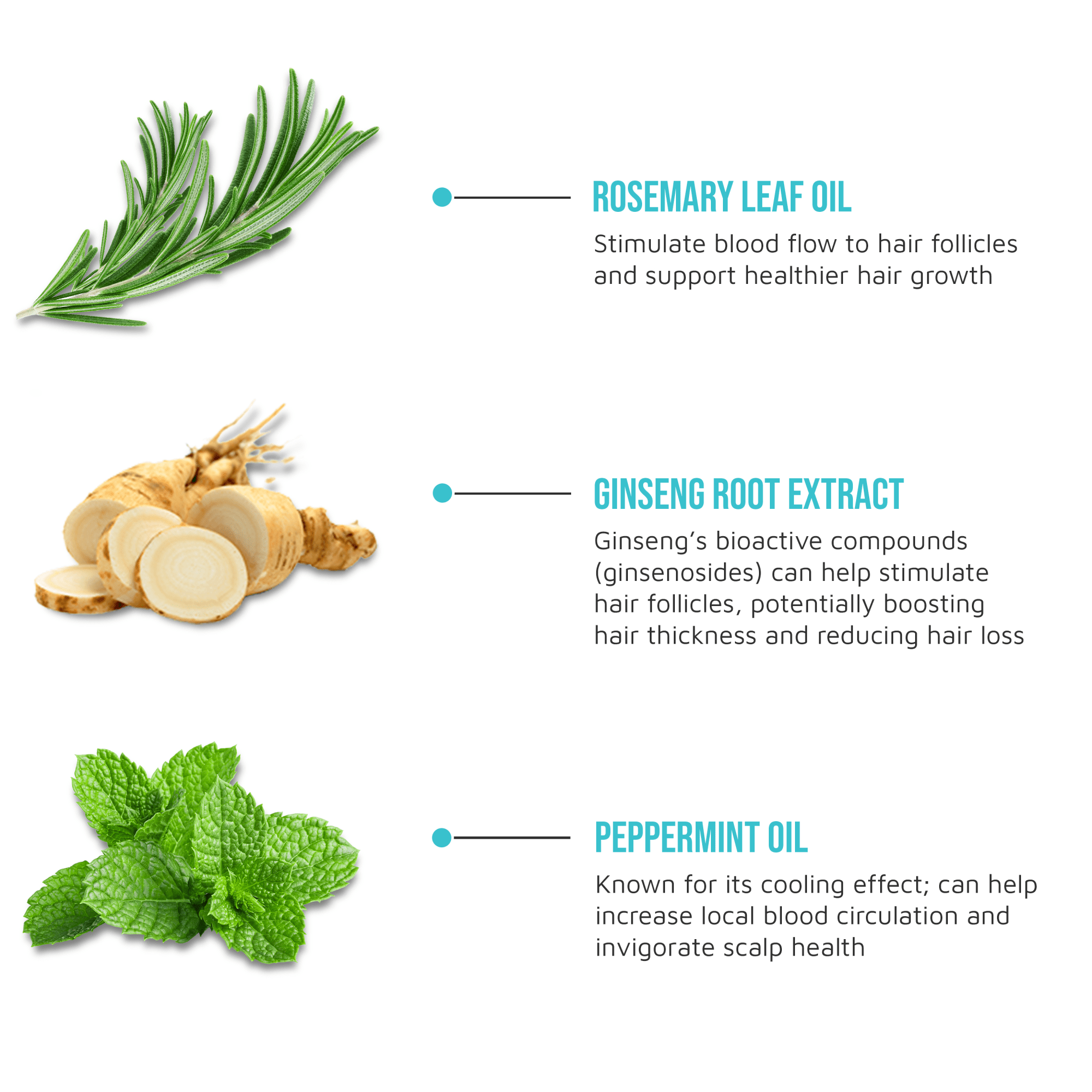 KISS Colors & Care Multivitamin Oil - Rosemary & Mint