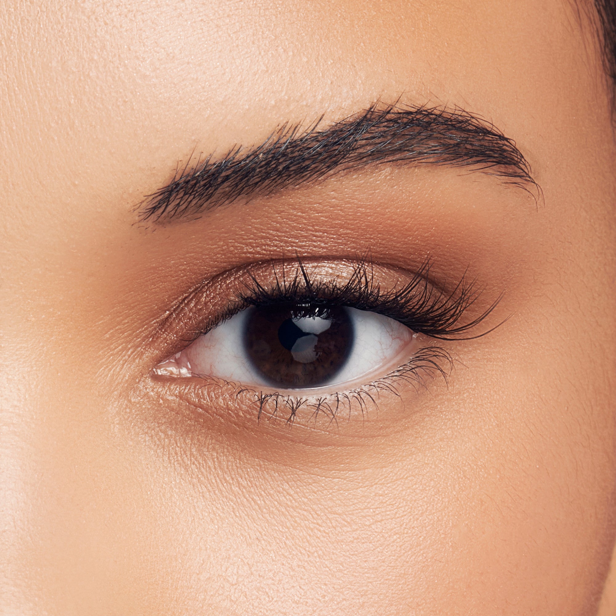 Close-up of a brown eye with sleek, natural-looking false eyelashes applied, showing long, separated lashes and smooth skin around the eye.
