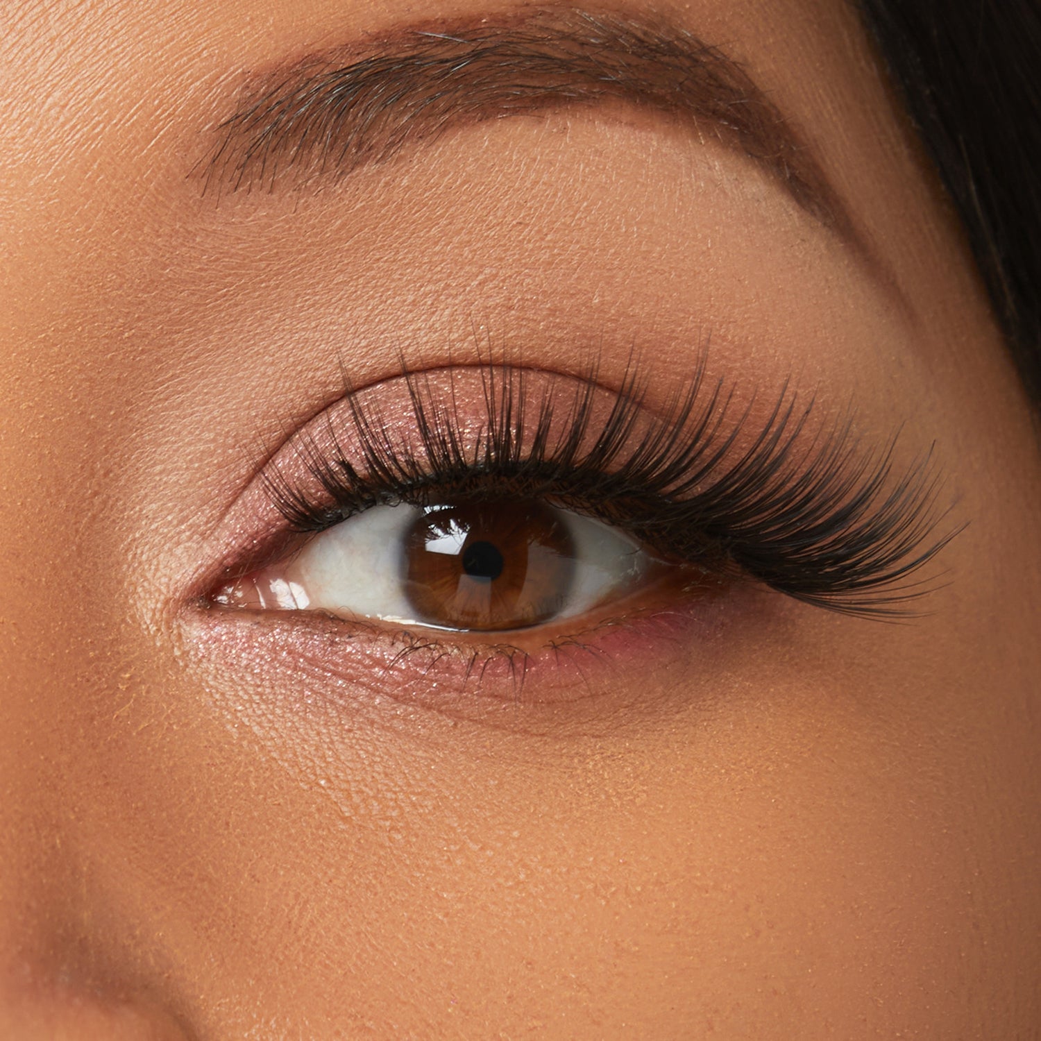 Close-up of brown eye with full black lashes and neutral eyeshadow makeup.