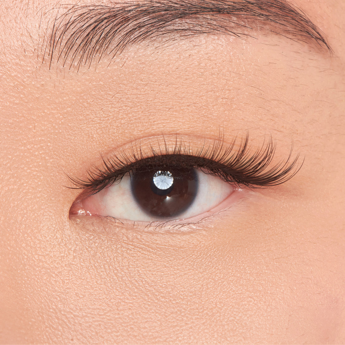 KISS My Lash But Better - No Filters