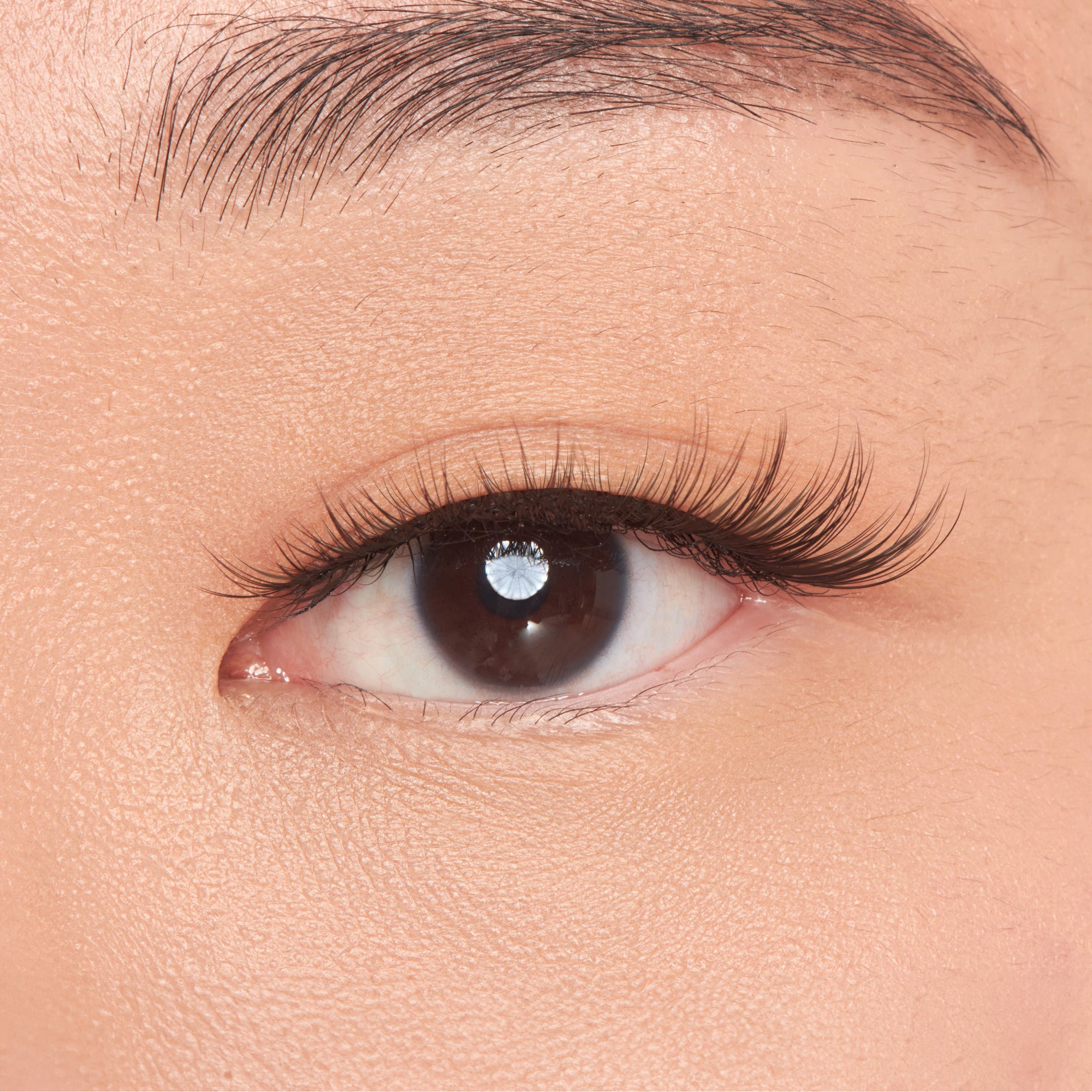 KISS My Lash But Better - No Filters