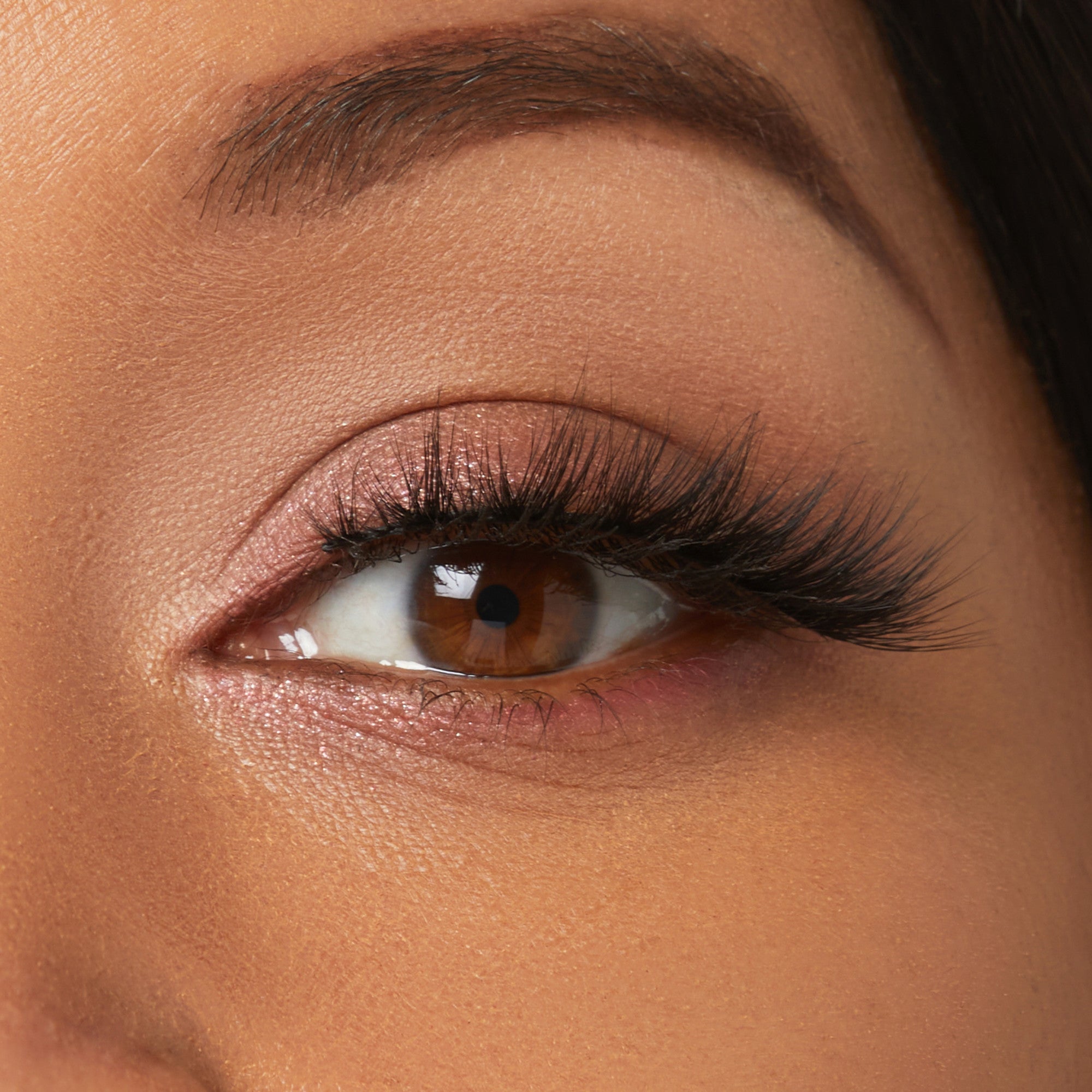 Close-up of eye with brown iris, black eyeliner, and volumized black lashes on warm-toned skin.