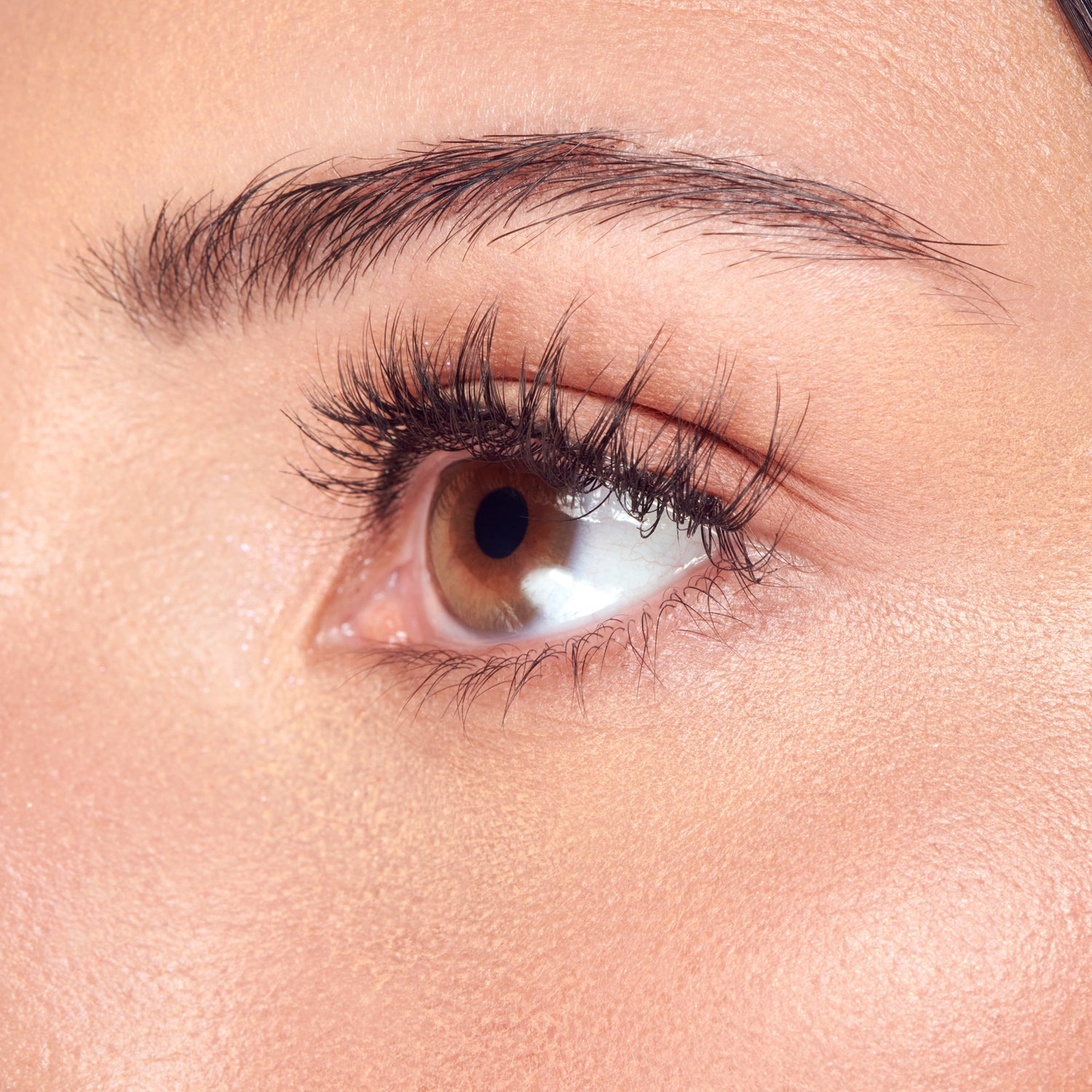 KISS My Lash But Better 4-Pair Multipack - Still Touch