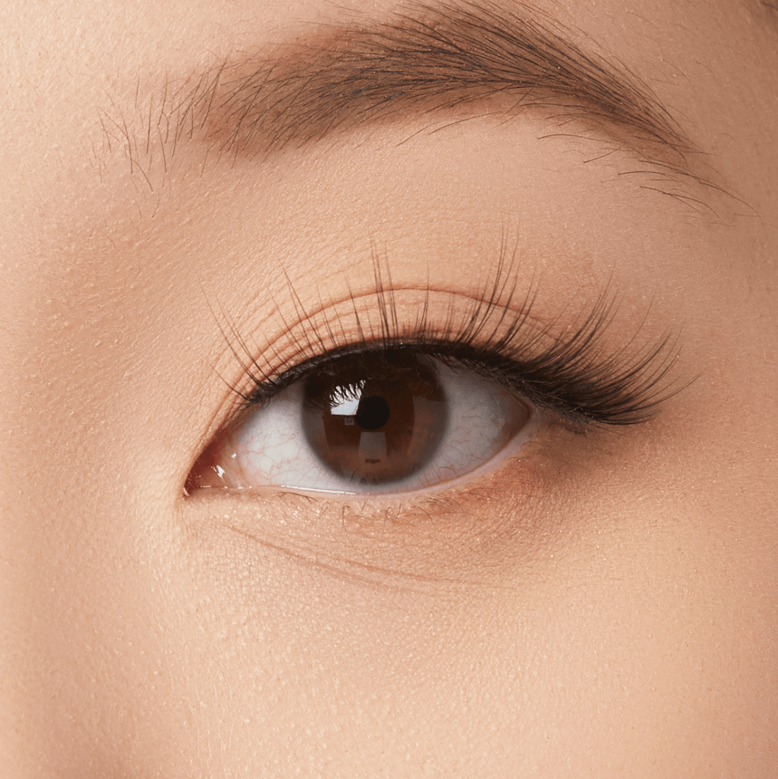 KISS Halloween Lash  - Dark fairy