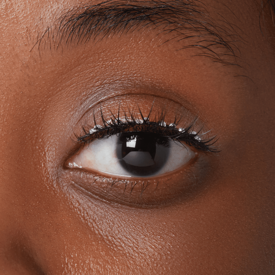 KISS Halloween Lash  - Dreamy