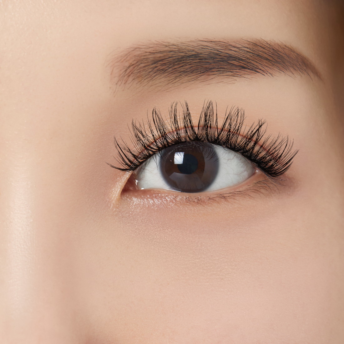 KISS Lash Couture LuXtensions Holiday Collection – Royal Silk