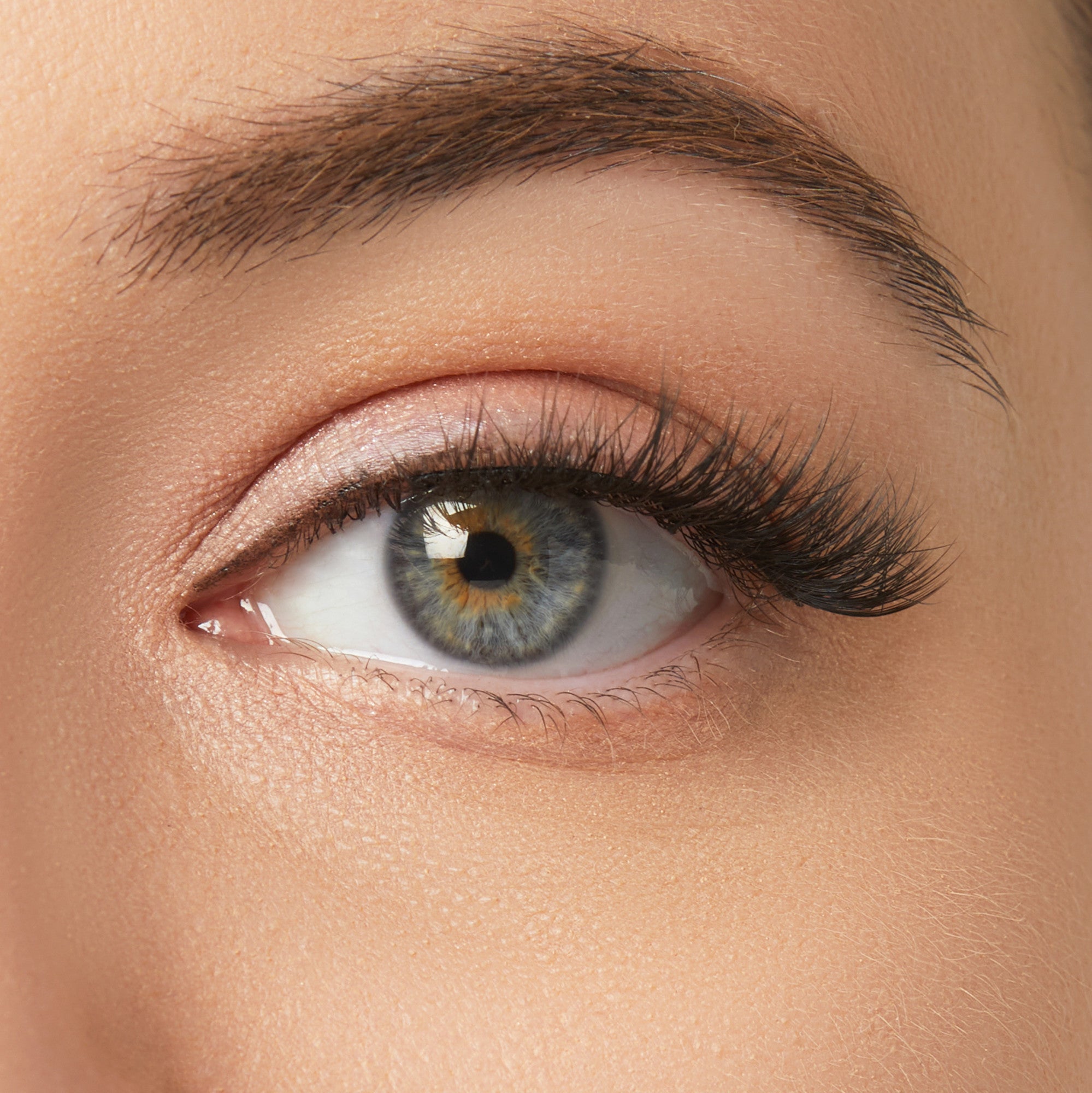Close-up of blue-gray eye with brown eyebrow and black mascara on upper lashes.