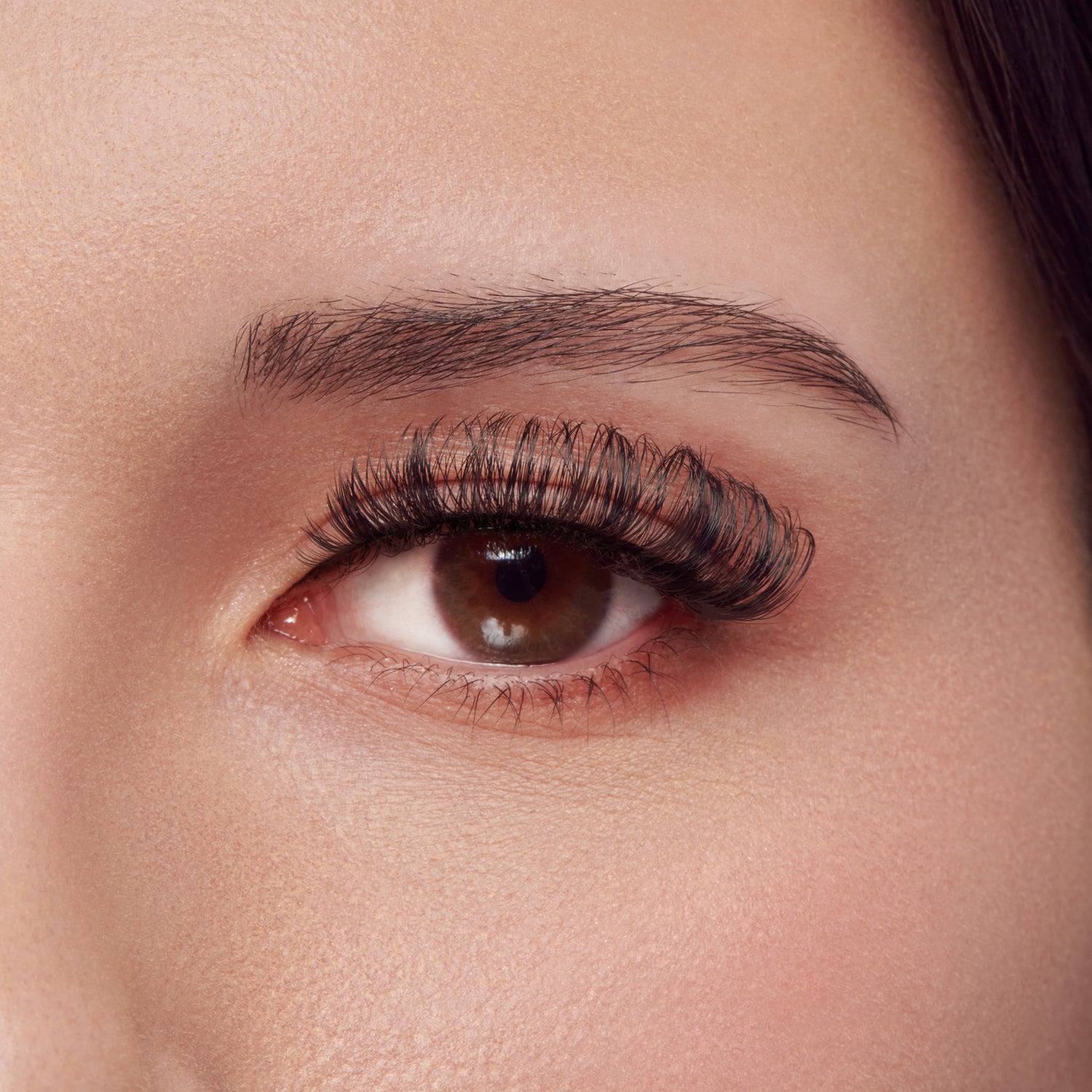 Kiss Lash Couture False Eyelashes The Muses Collection Multipack - Grandeur | 4 Pairs, Strip Lashes, 14mm