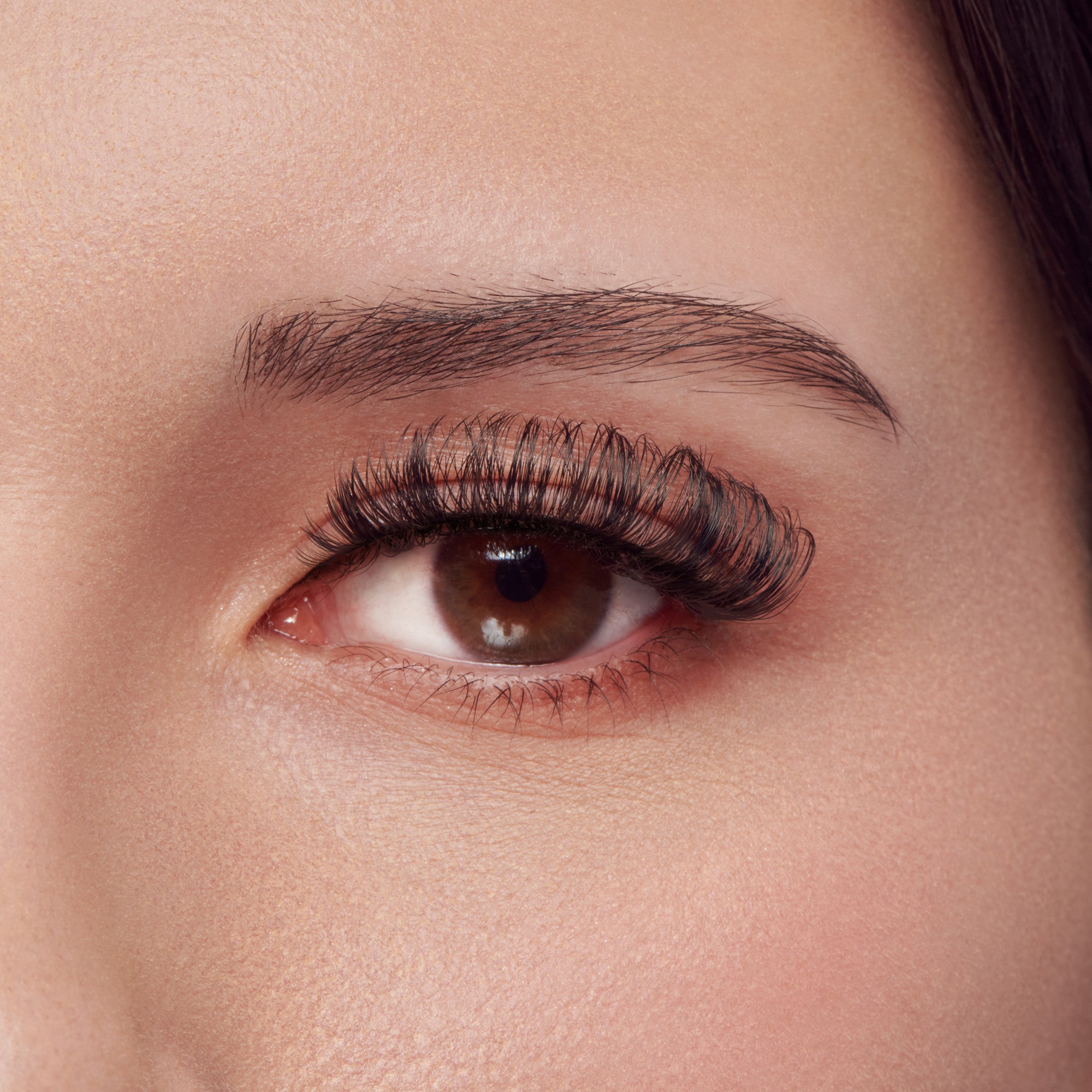 Kiss Lash Couture False Eyelashes The Muses Collection Multipack - Grandeur | 4 Pairs, Strip Lashes, 14mm