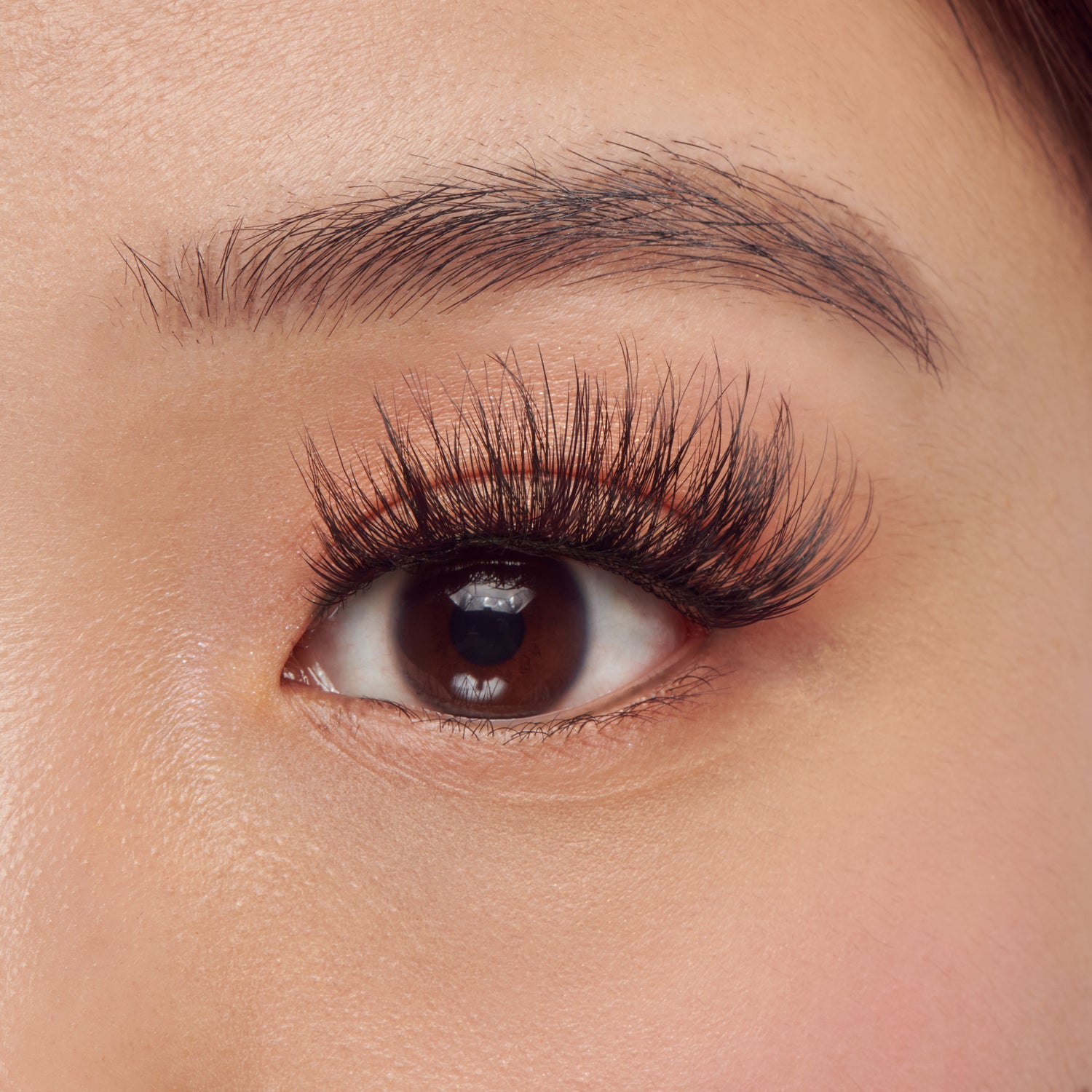 Close-up of an eye with long, dark eyelashes and well-groomed eyebrow.