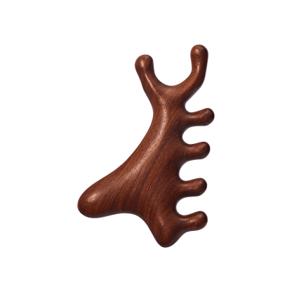 Black Castor Oil Set Multivitamin Oil w/ Gua Sha ToolCirculate & Growth - Image 7