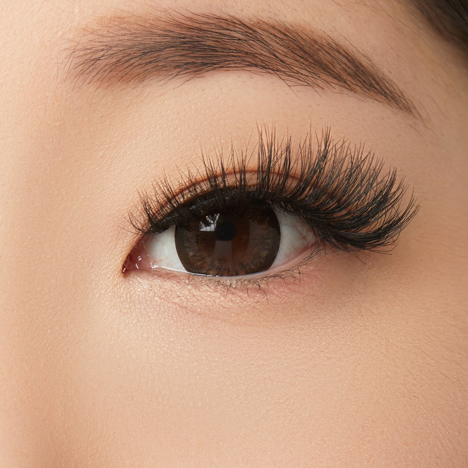 Close-up of an eye with thick black eyelashes, brown iris, and defined eyebrow.