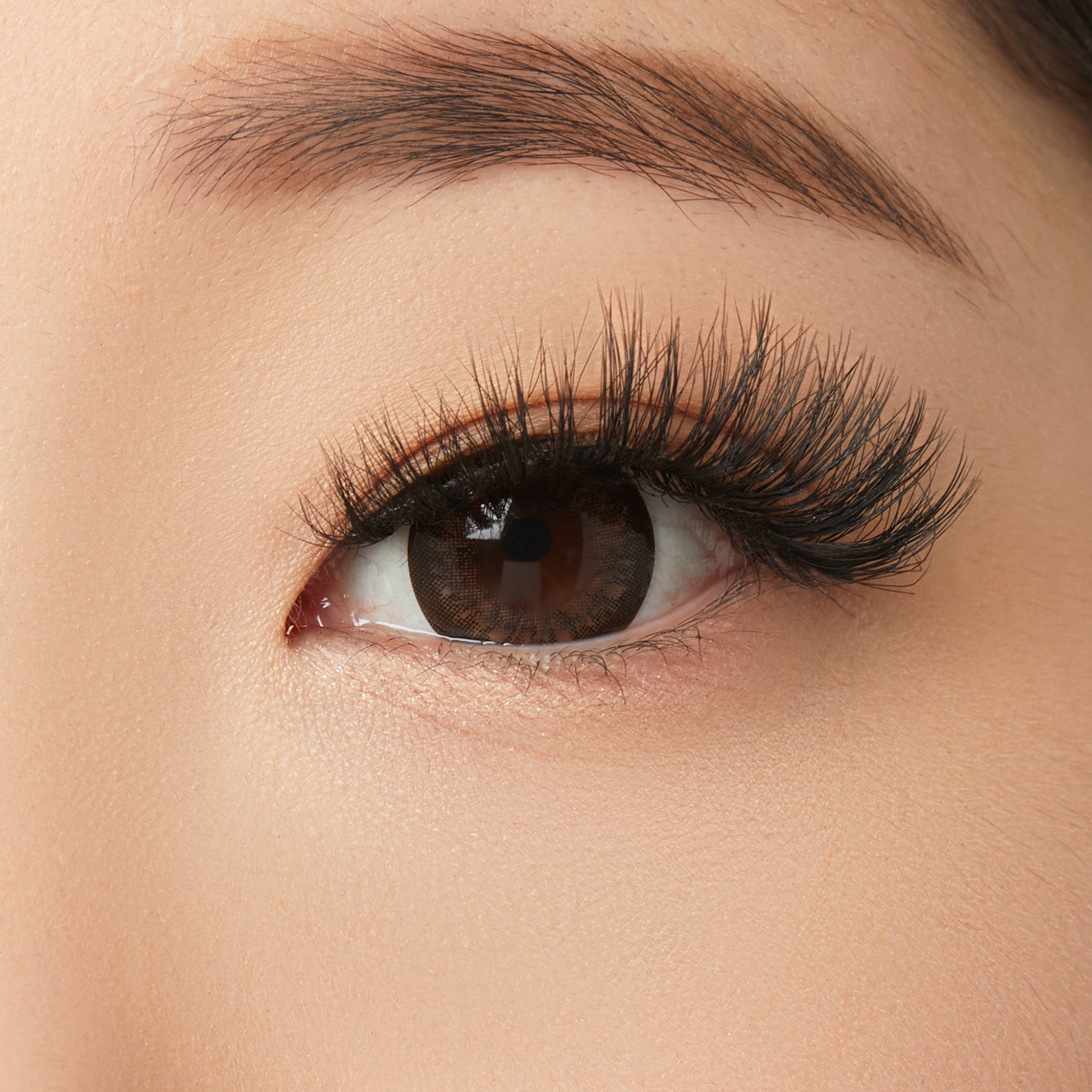 Close-up of an eye with thick black eyelashes, brown iris, and defined eyebrow.