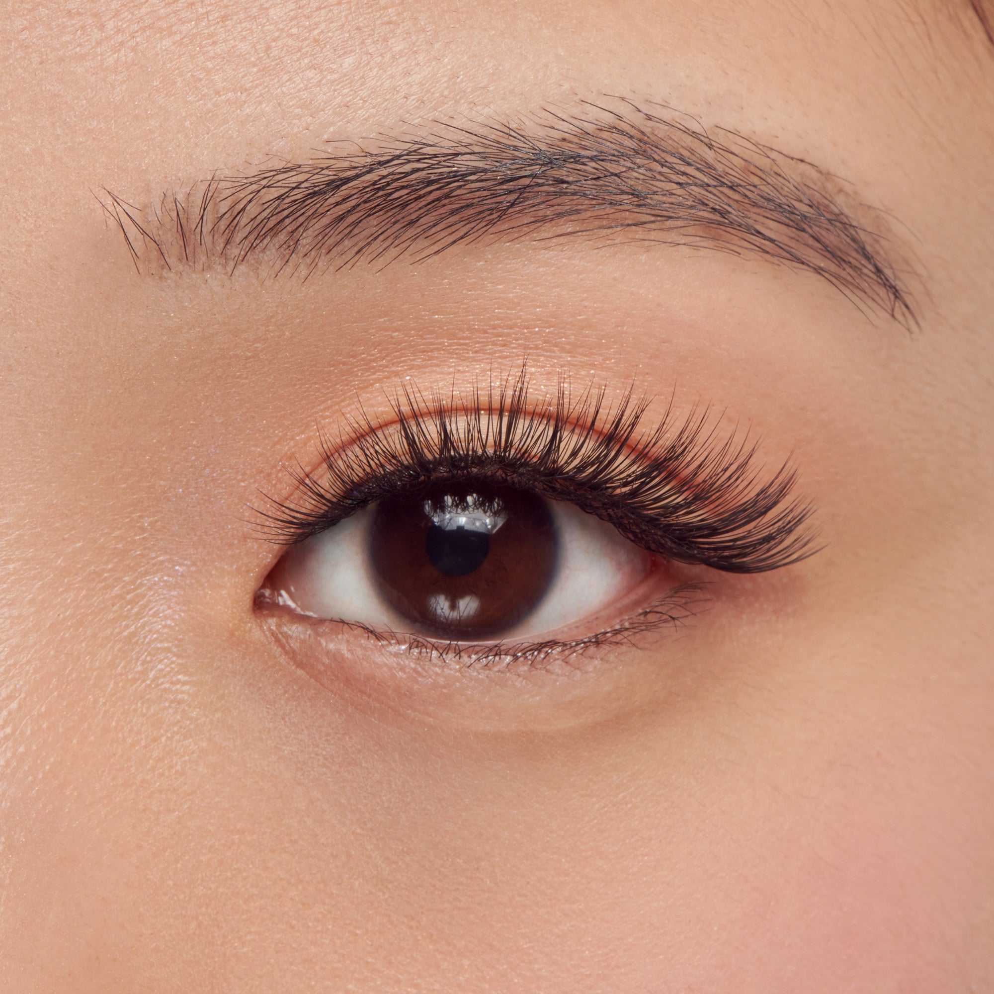 Kiss Lash Couture Luxtensions Kit