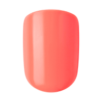 imPRESS Color Press On Nails - Prime Times