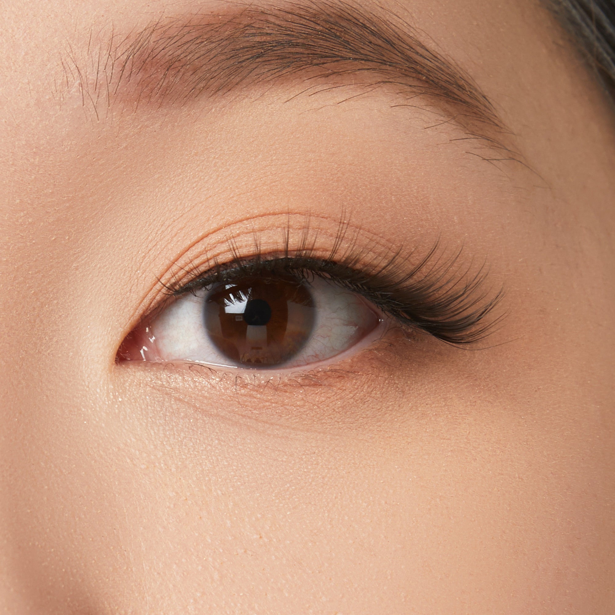 Close-up of brown eye with defined eyeliner and voluminous false lashes on fair skin.