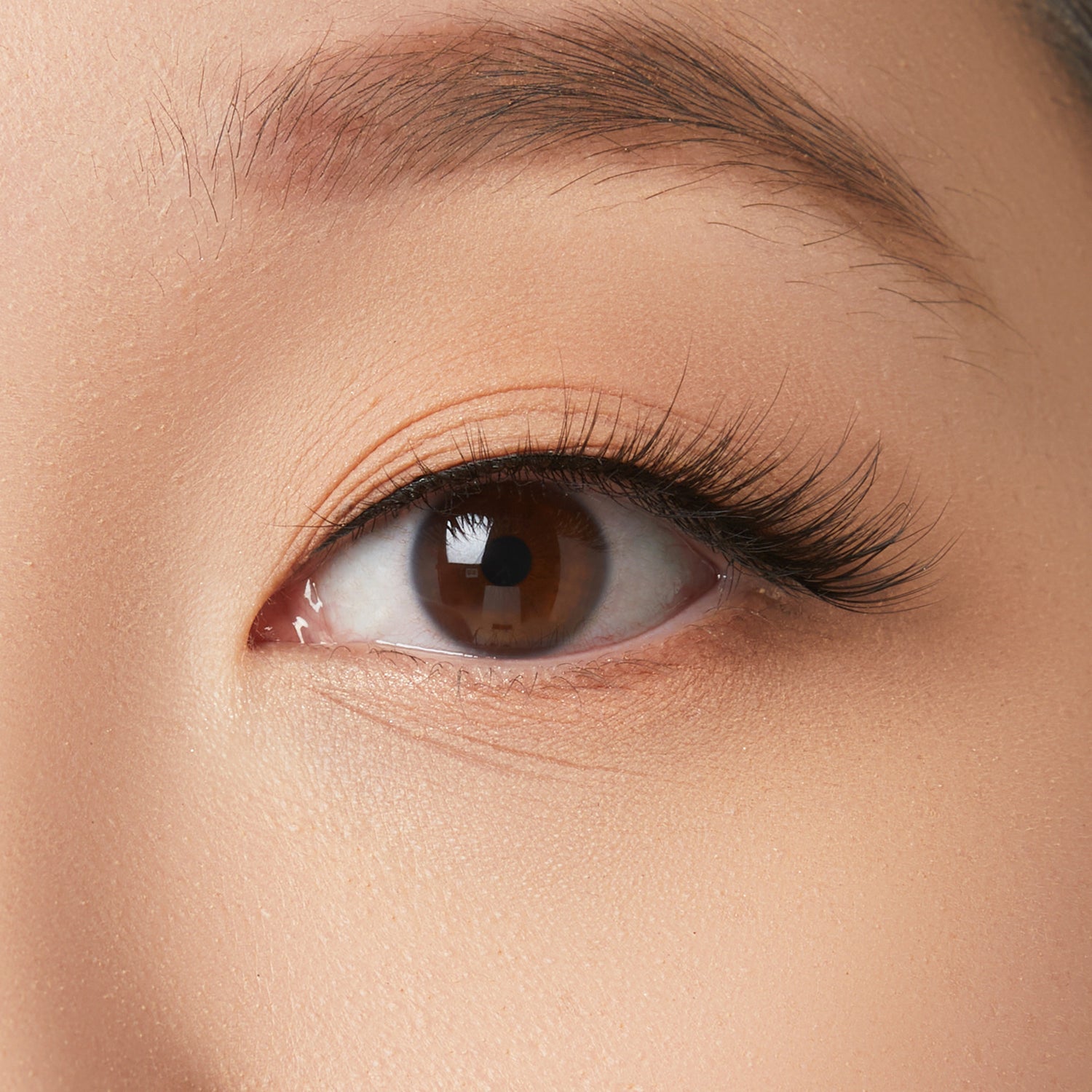 Close-up of a brown eye with natural makeup and defined eyelashes against fair skin.
