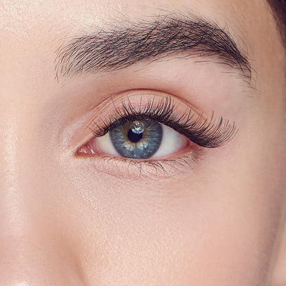 FALSCARA Multipack - Classic Wispy