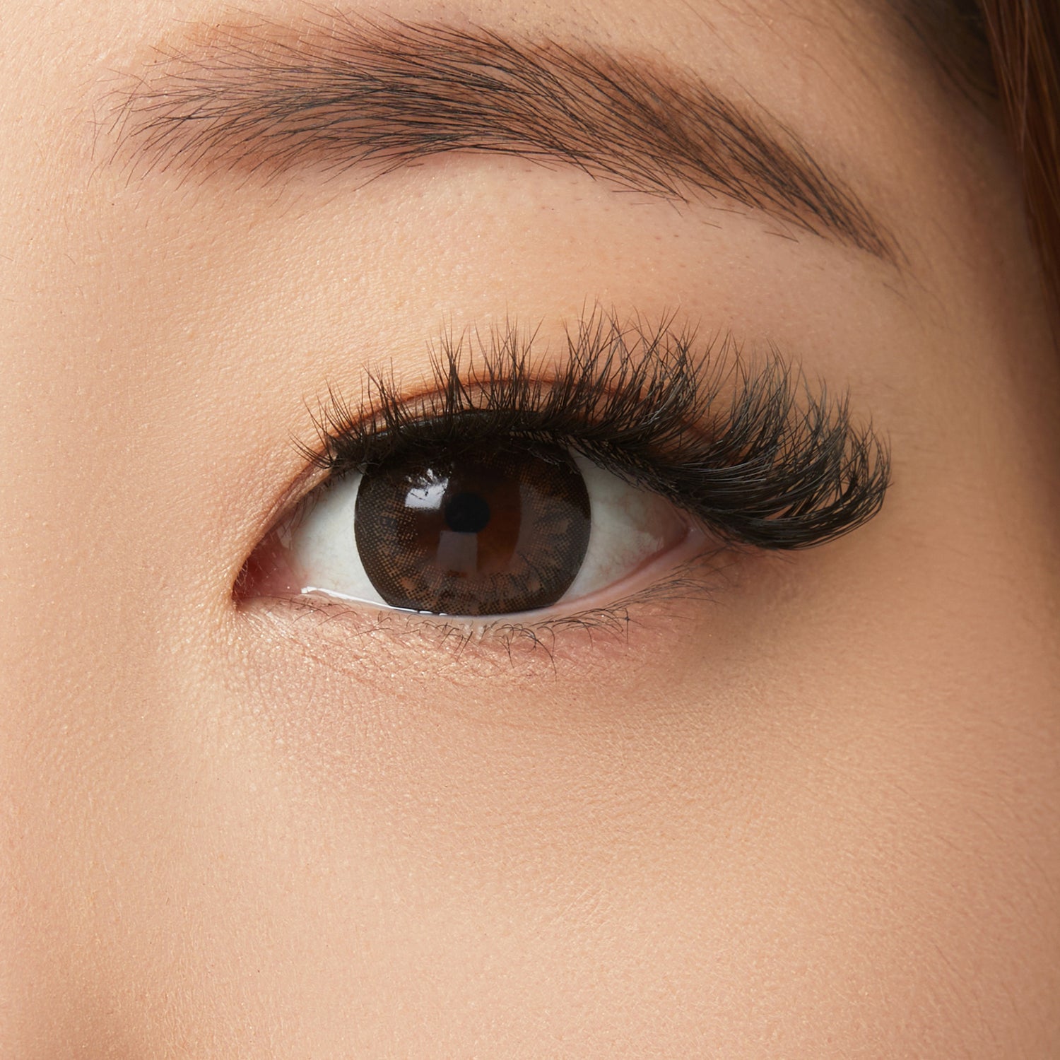 Close-up of brown eye with defined eyebrow and voluminous black eyelashes on fair skin.