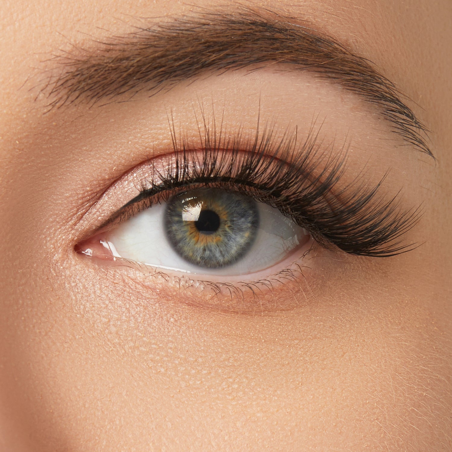 Close-up of eye with blue-grey iris, dark eyebrows, and full black lashes with warm eyeshadow.